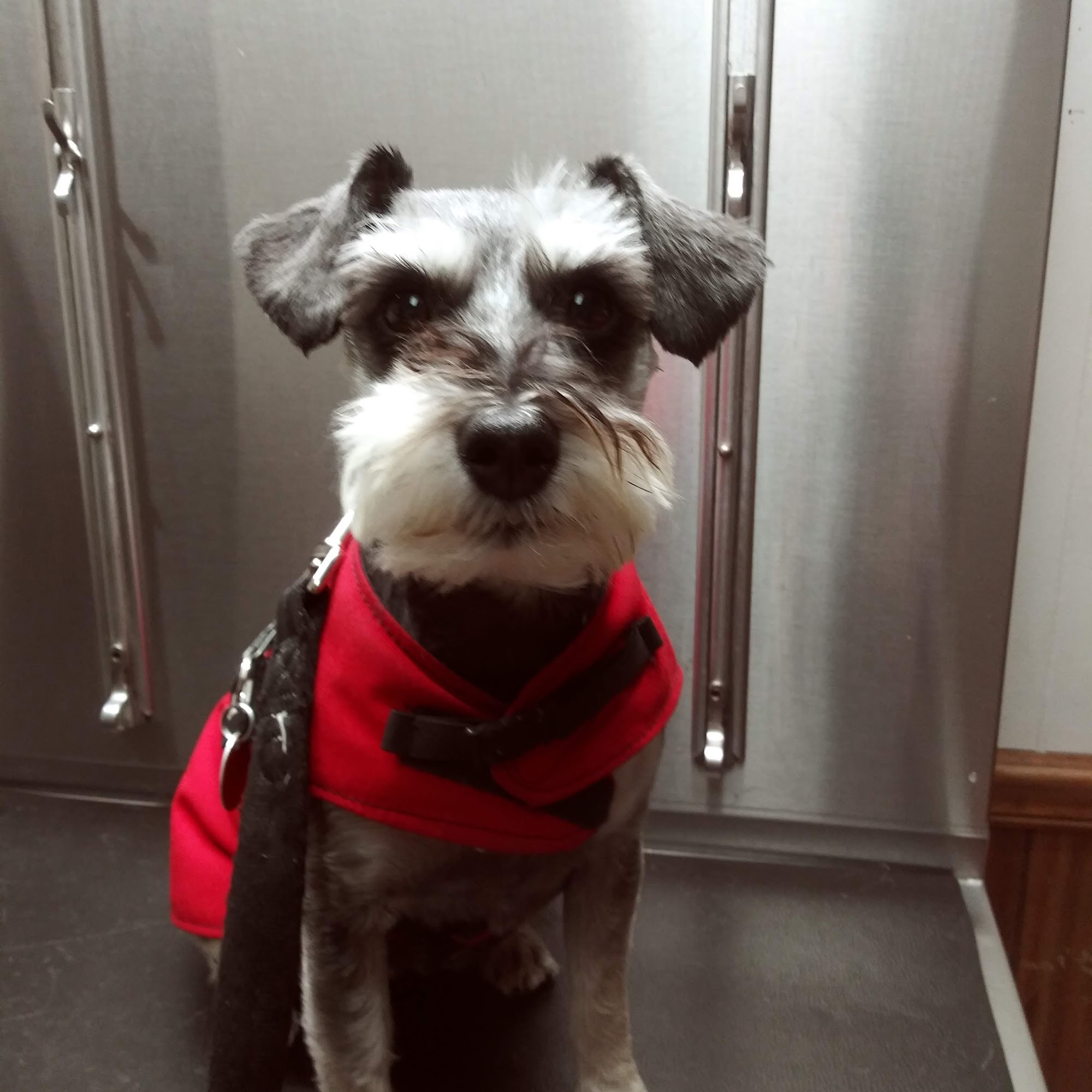 Aiken Veterinary Clinic Aiken