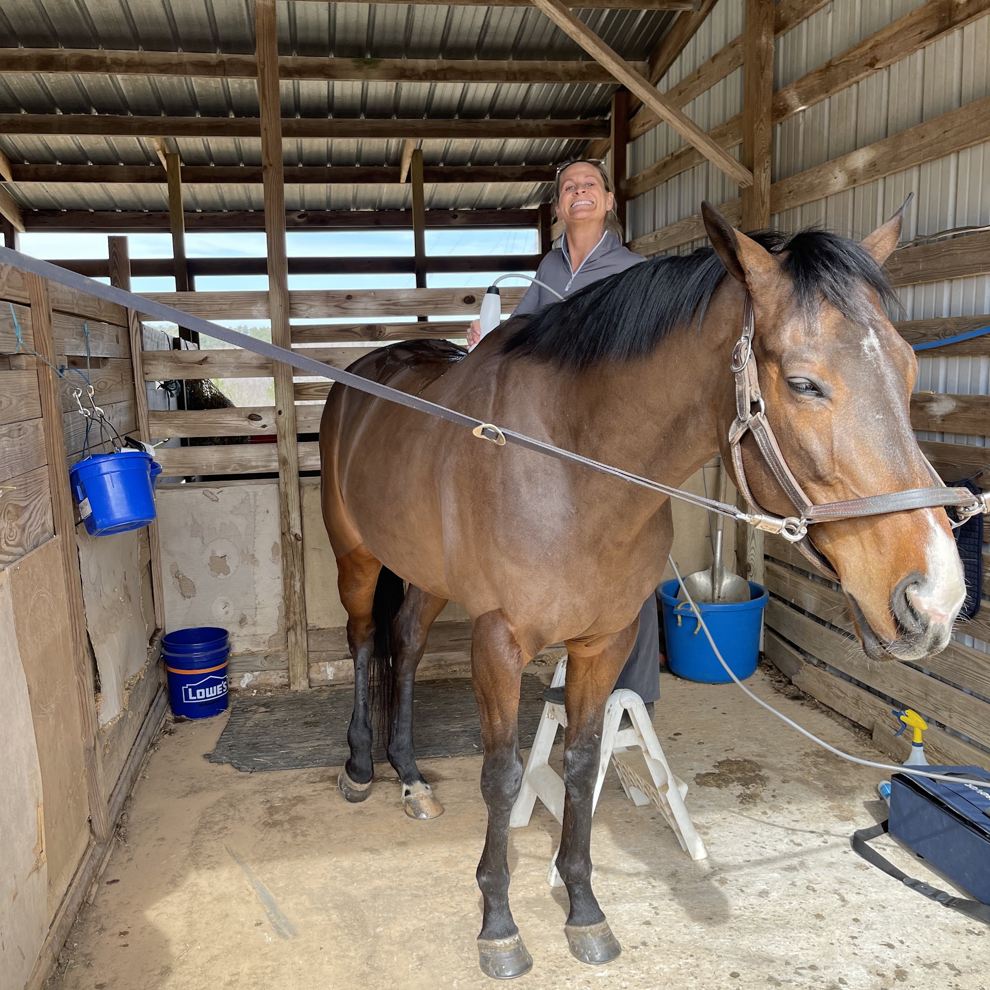 Performance Equine Vets Aiken