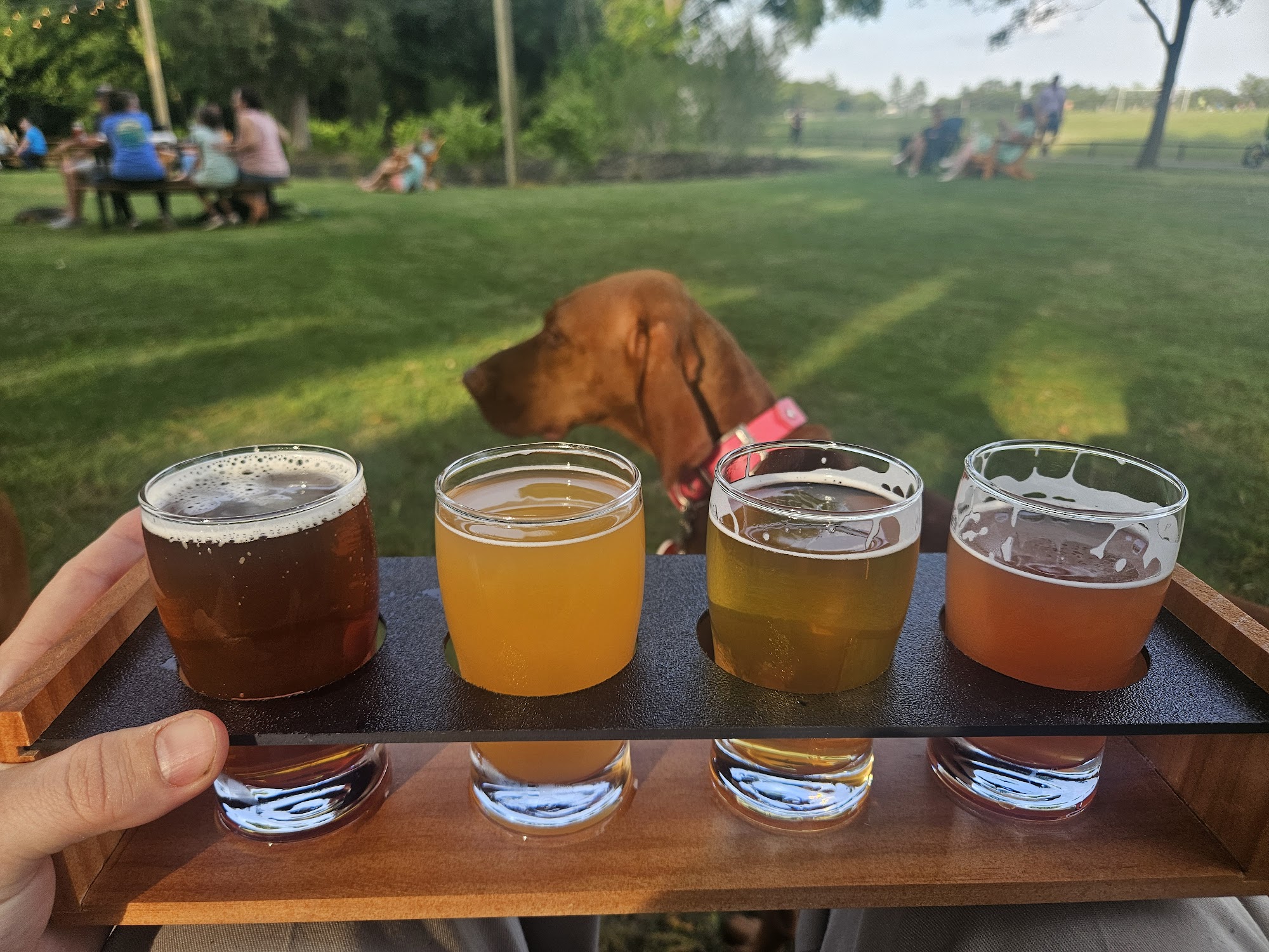 Good Girl Brewing Co. Aiken