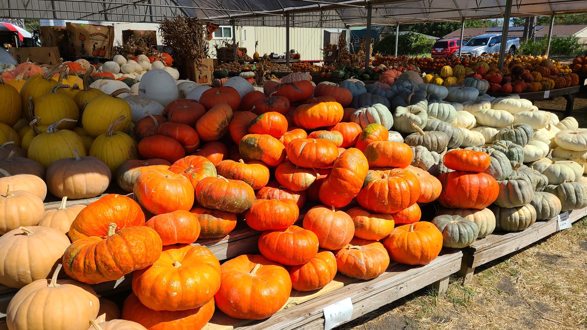 Rick's Produce Aiken