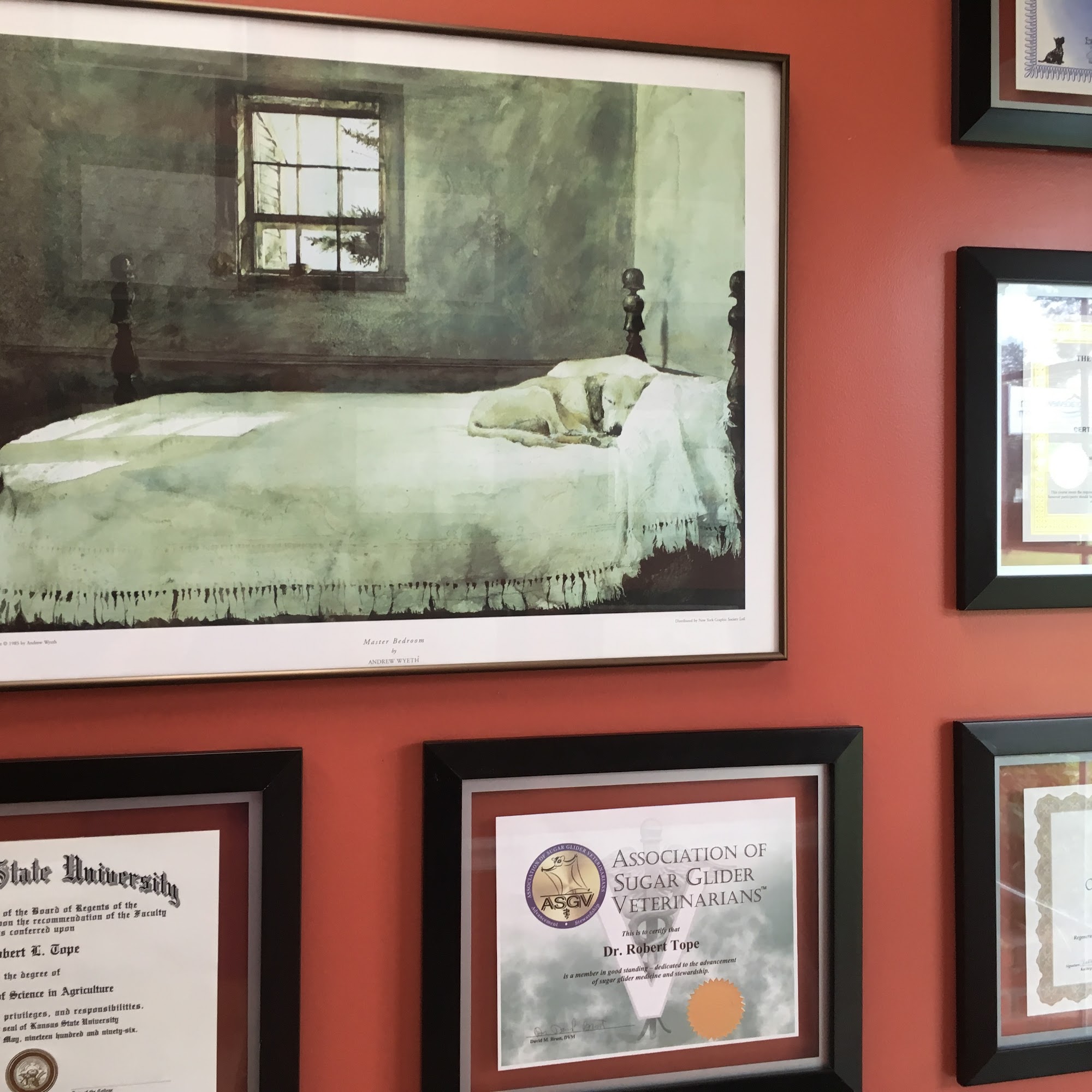 Electric City Animal Clinic Anderson