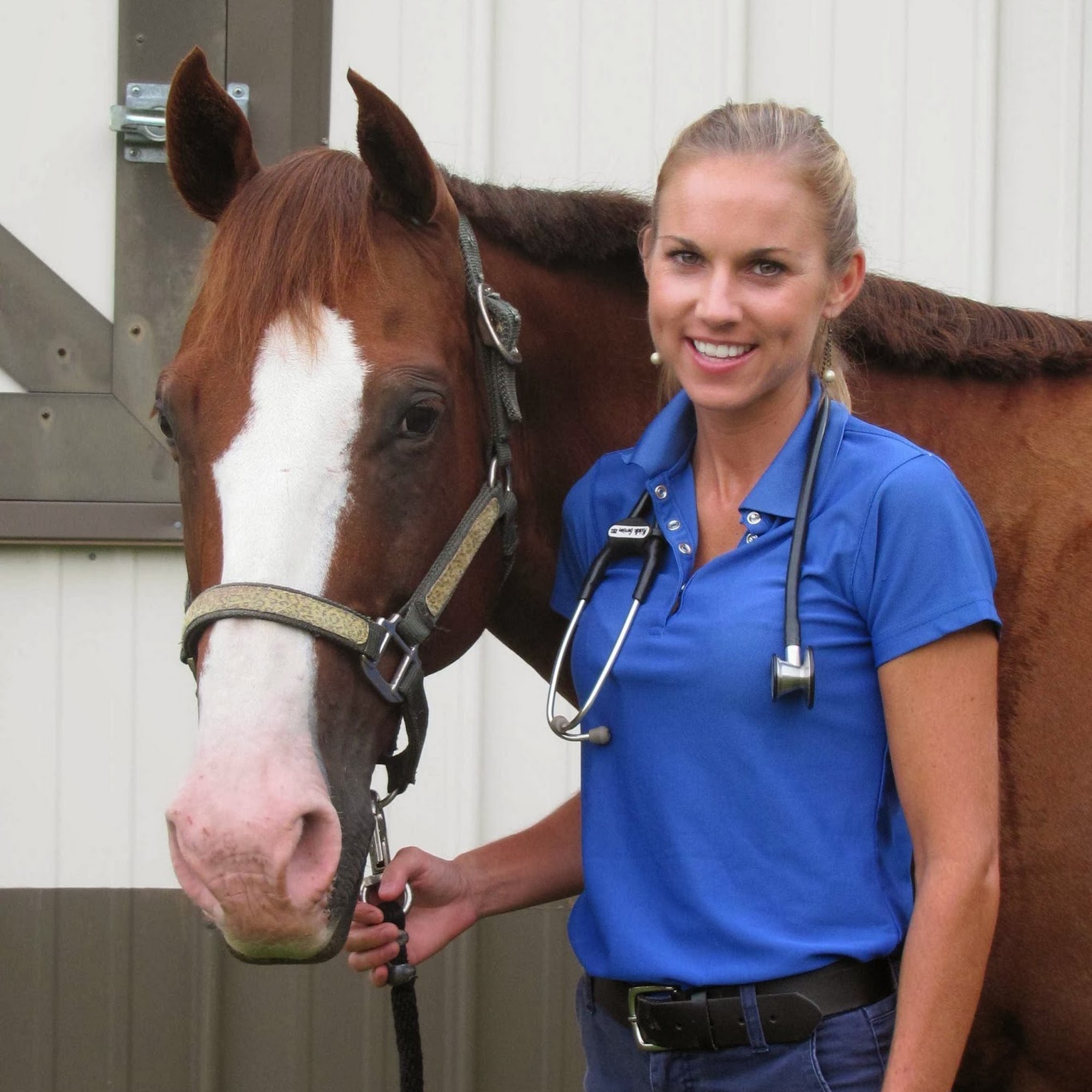 Garrison Equine Veterinary Care, LLC Anderson