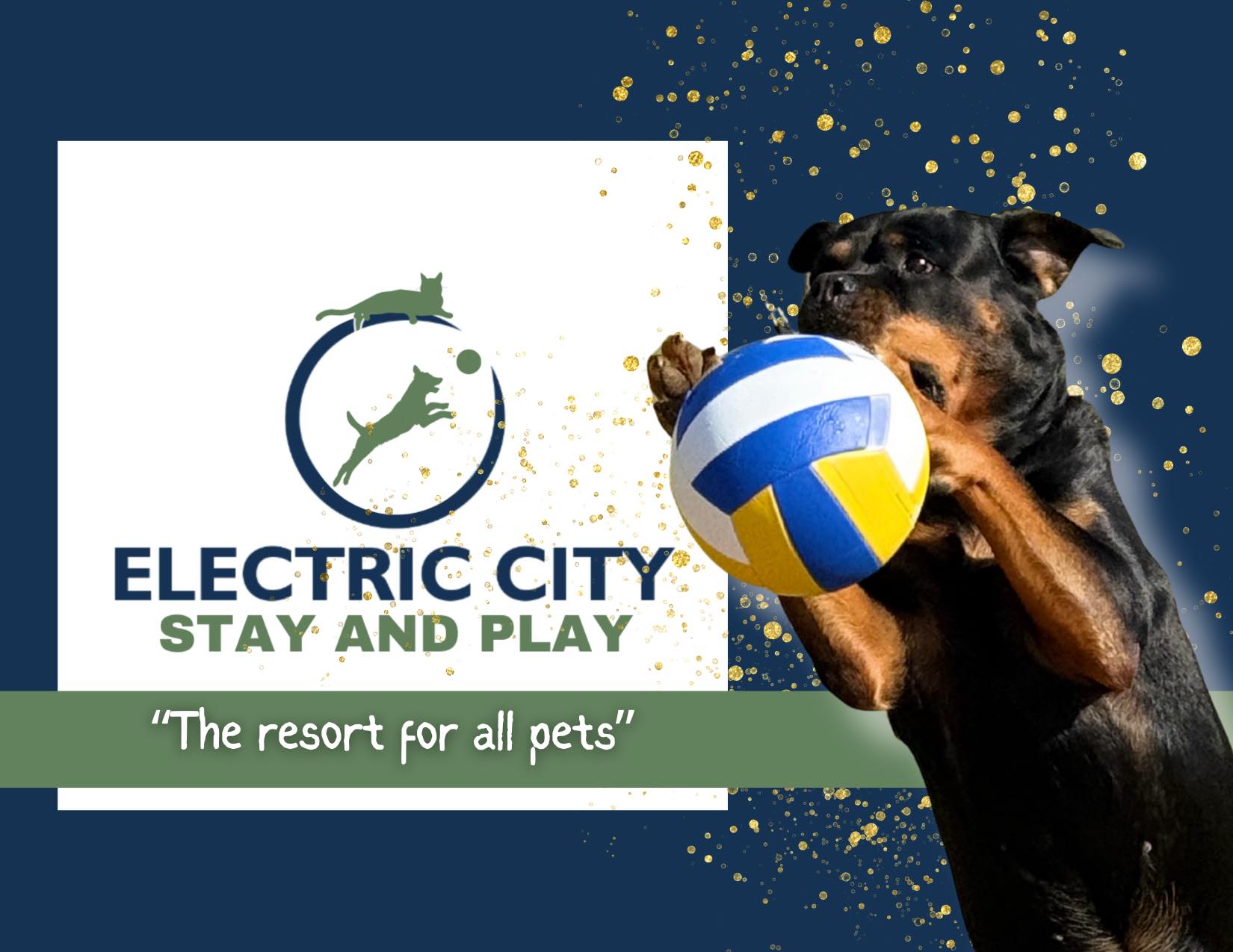 Electric City Stay and Play Anderson