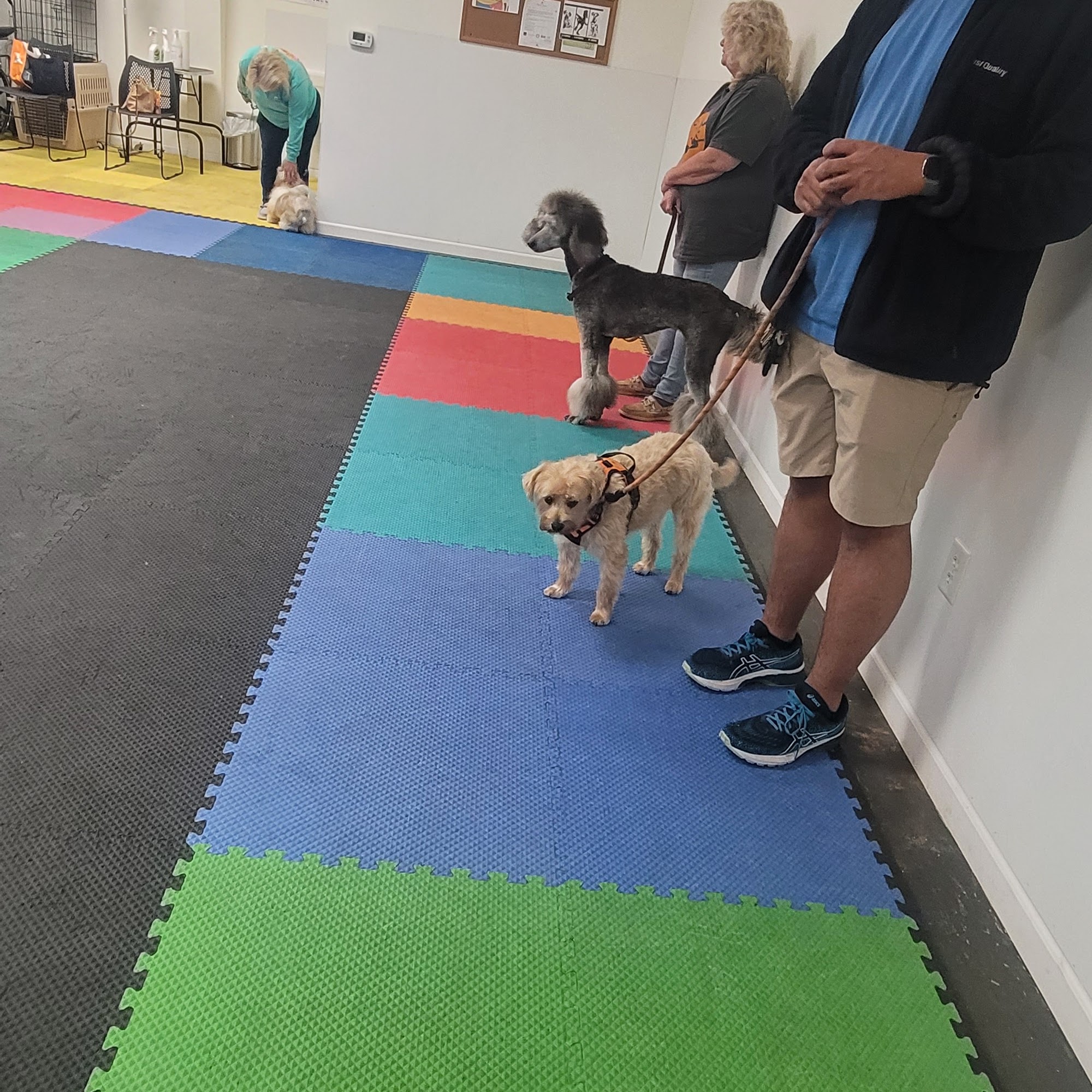 Anderson Dog Works Inc Anderson