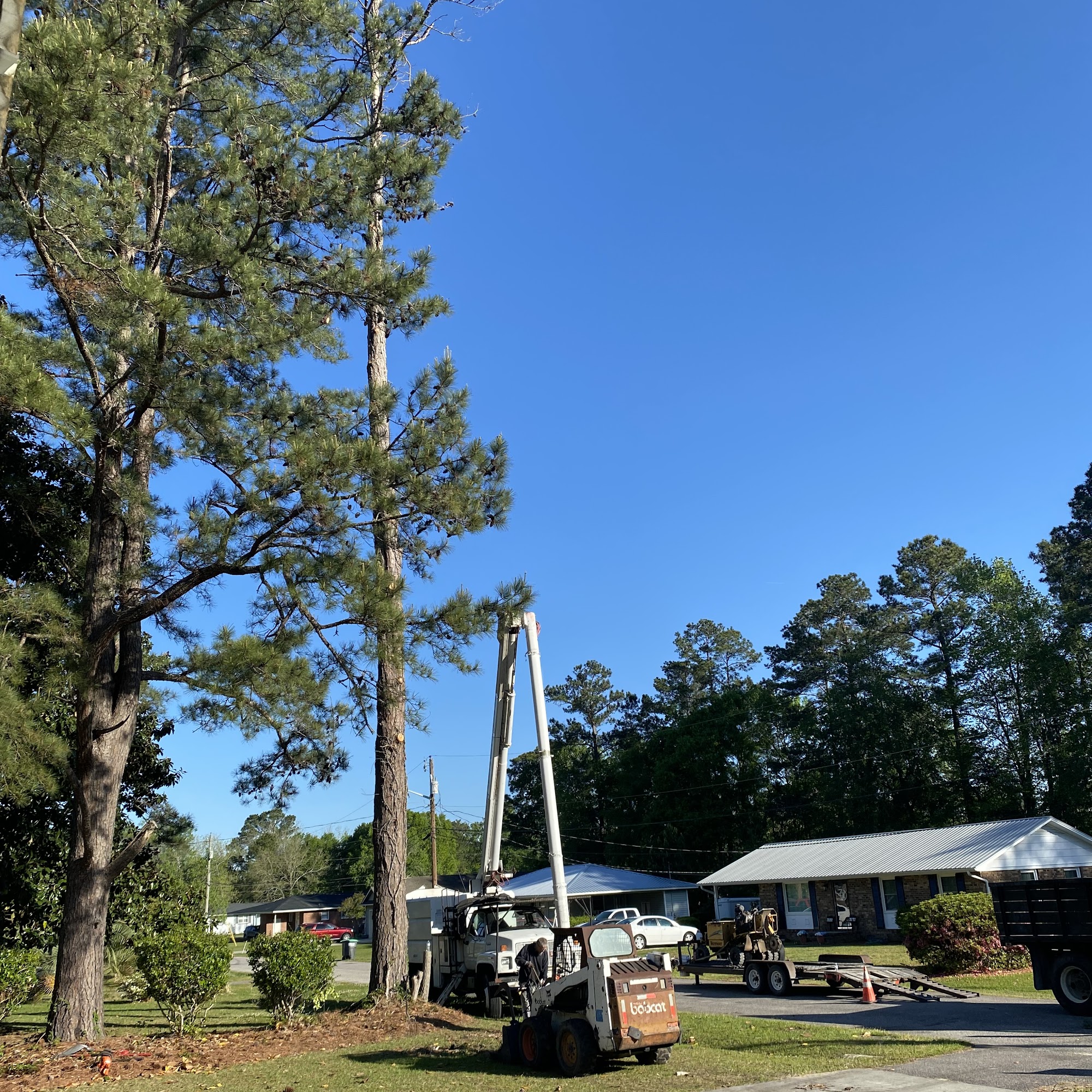 Chipman's Tree Srv 300 Canis Lupus Ln, Aynor South Carolina 29511