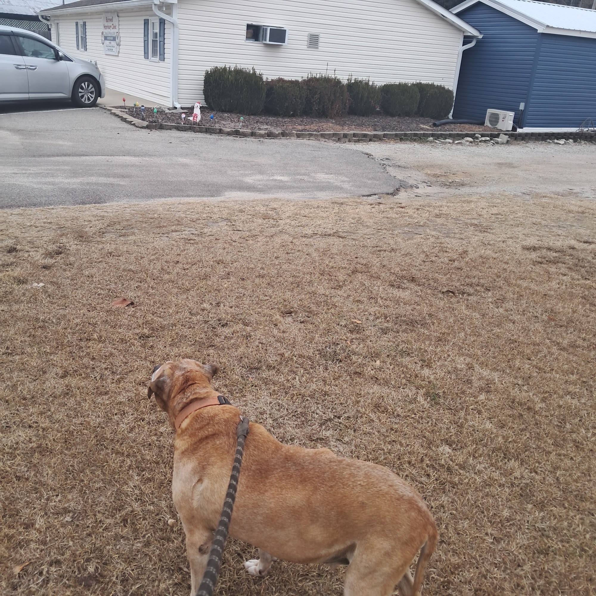 Barnwell Veterinary Clinic Barnwell