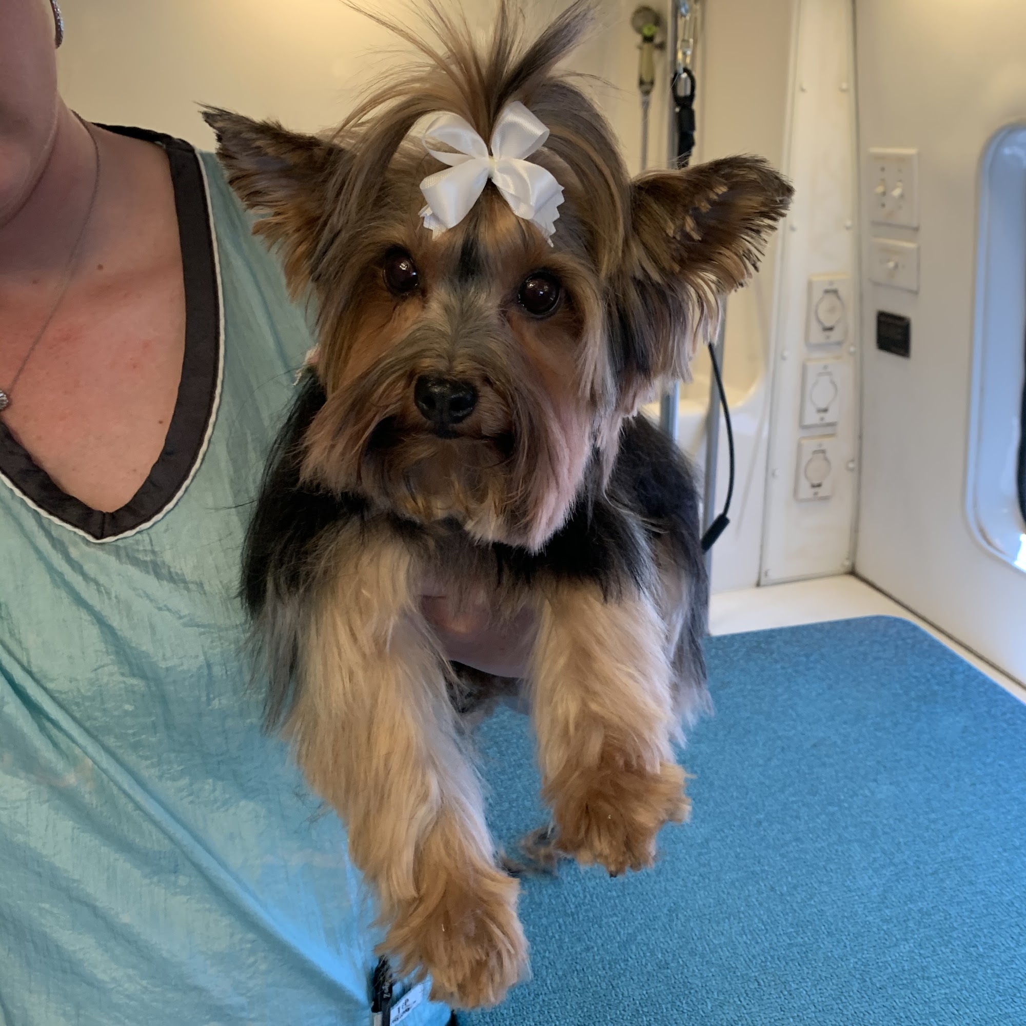 Glamour Grooming Barnwell