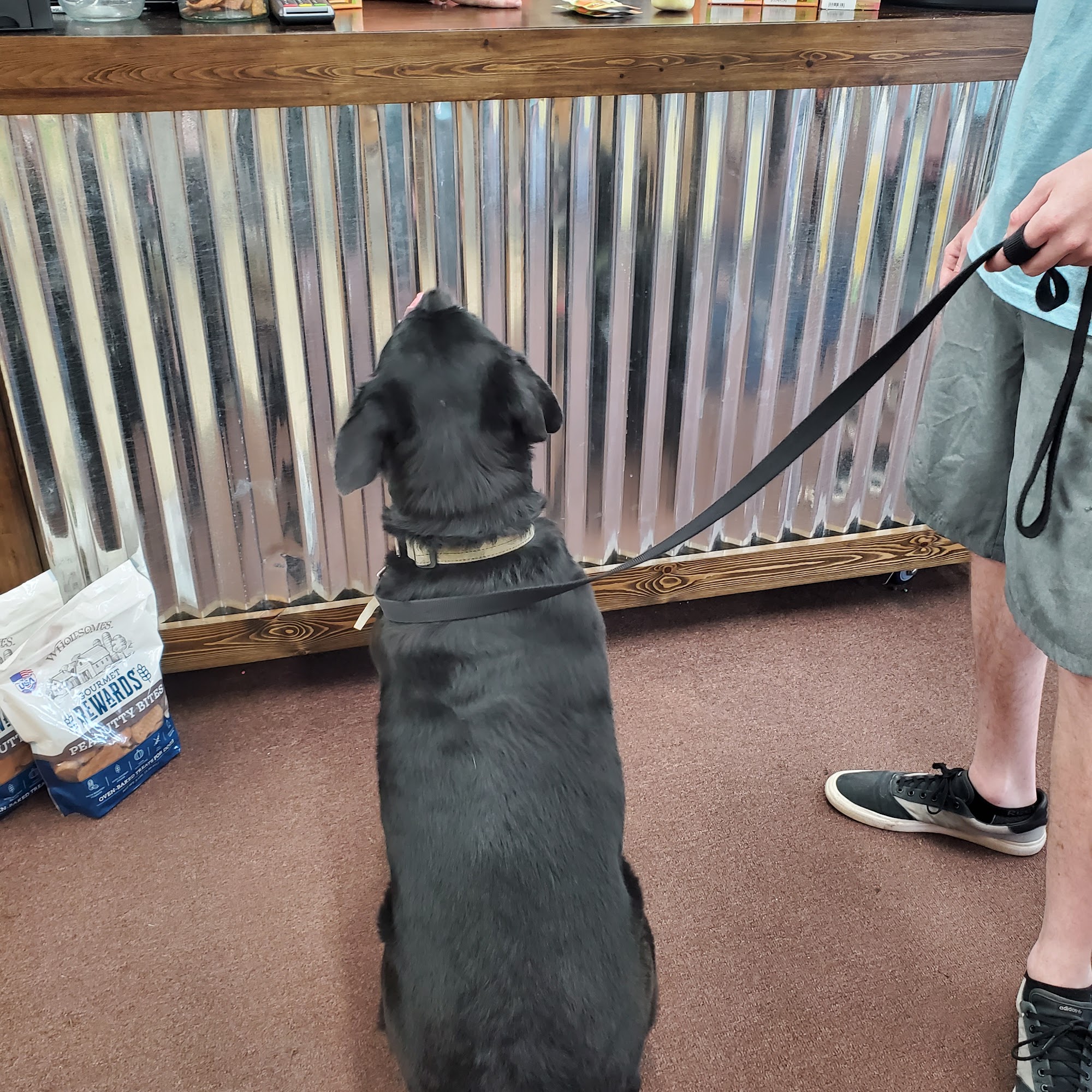 Lazy Creek Pet Food Center Batesburg-Leesville