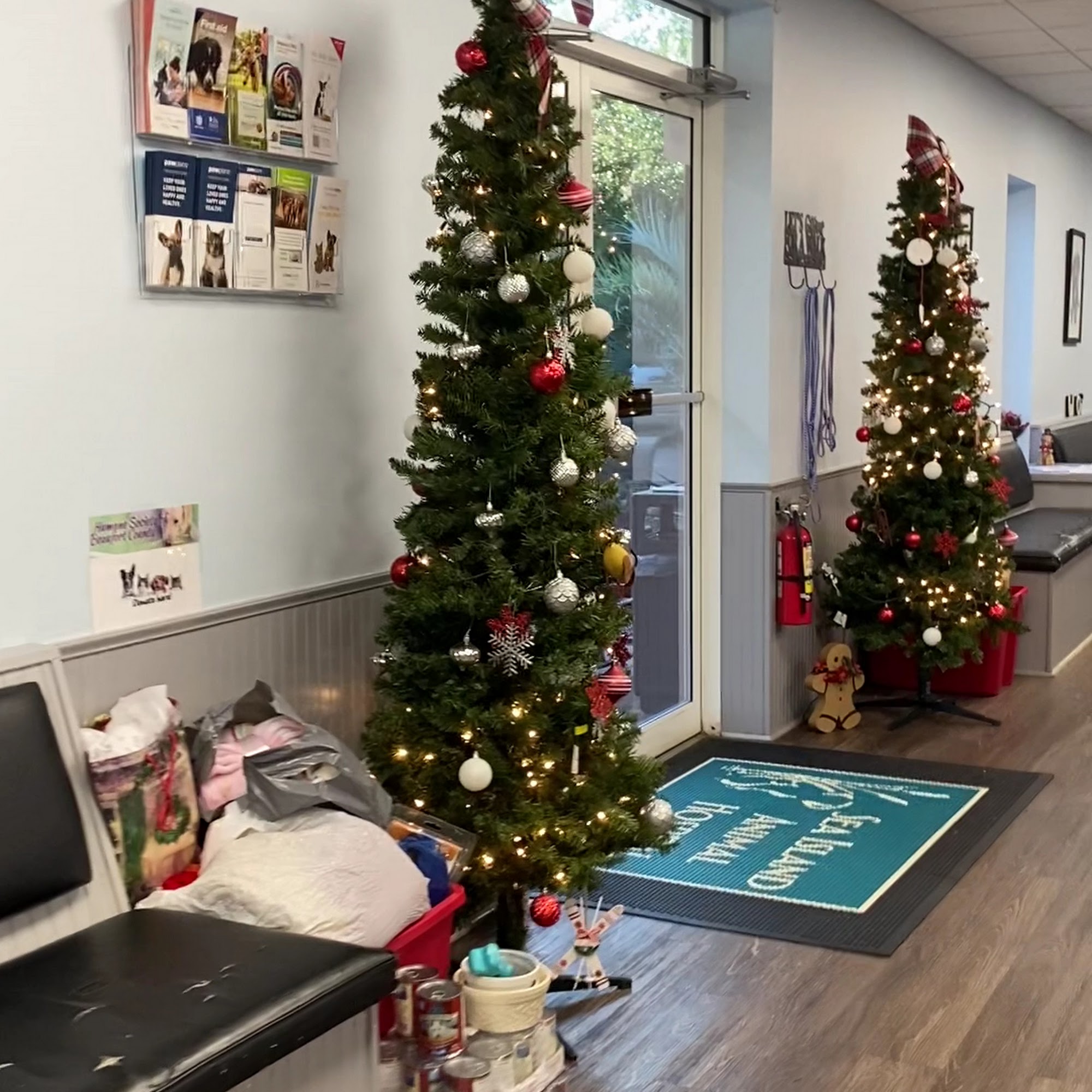 Sea Island Animal Hospital Beaufort