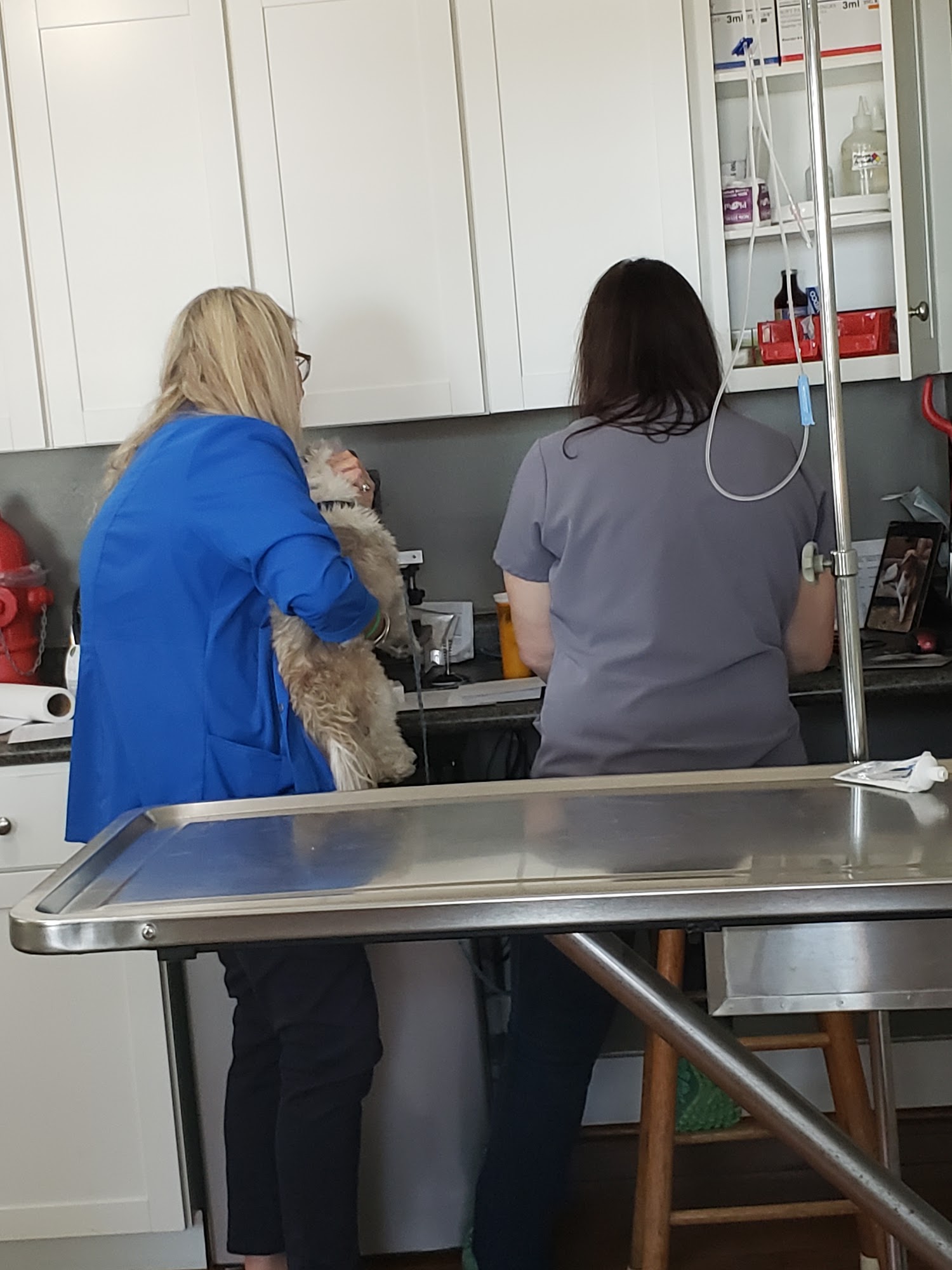 Holden Jim DVM Beaufort