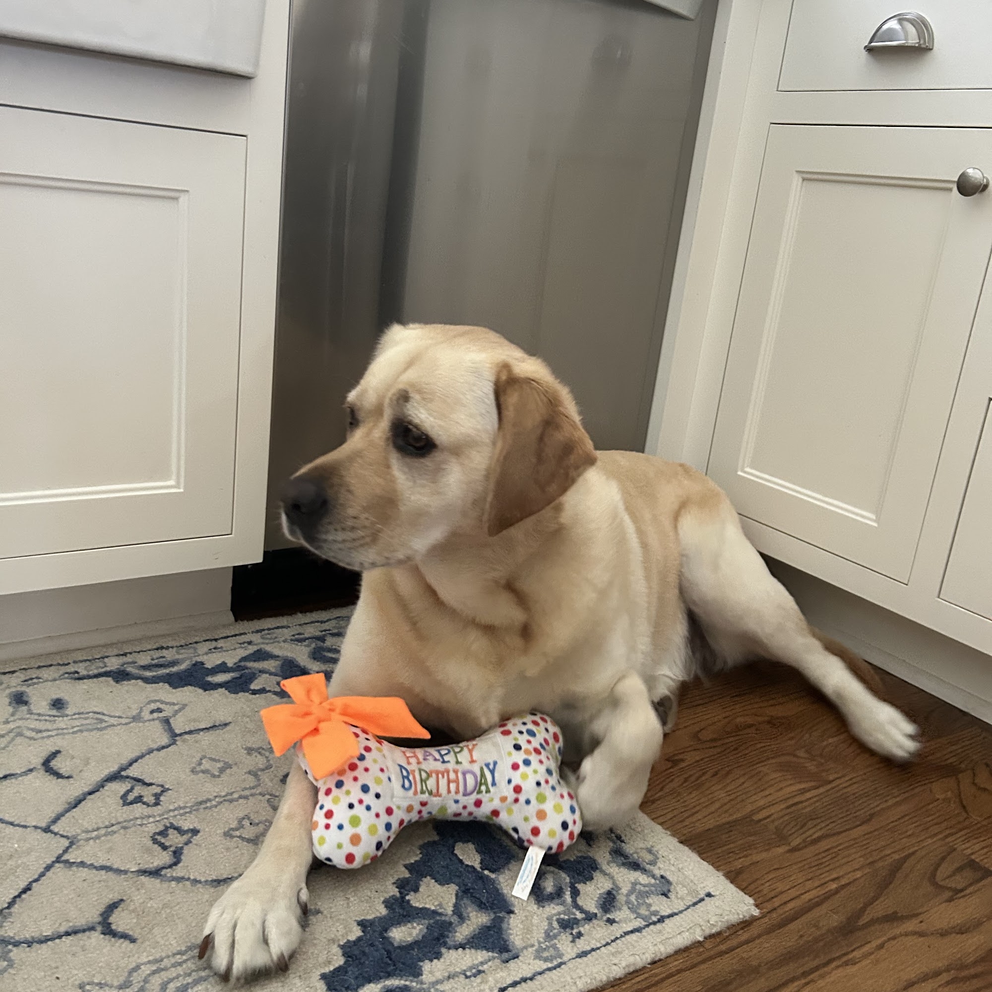 Animal Medical Center West Beaufort