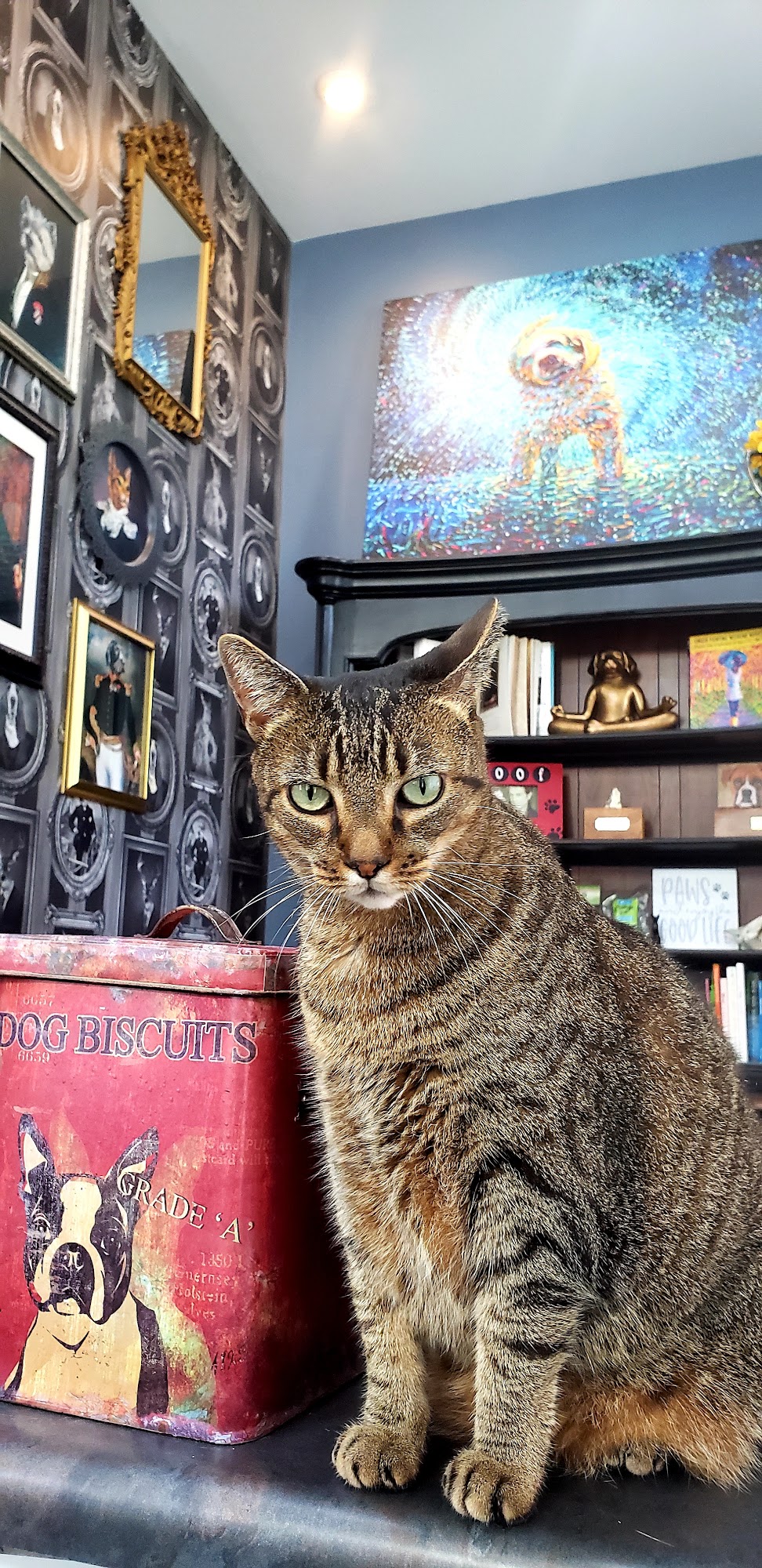 Barking Beautiful Pet Spa Beaufort