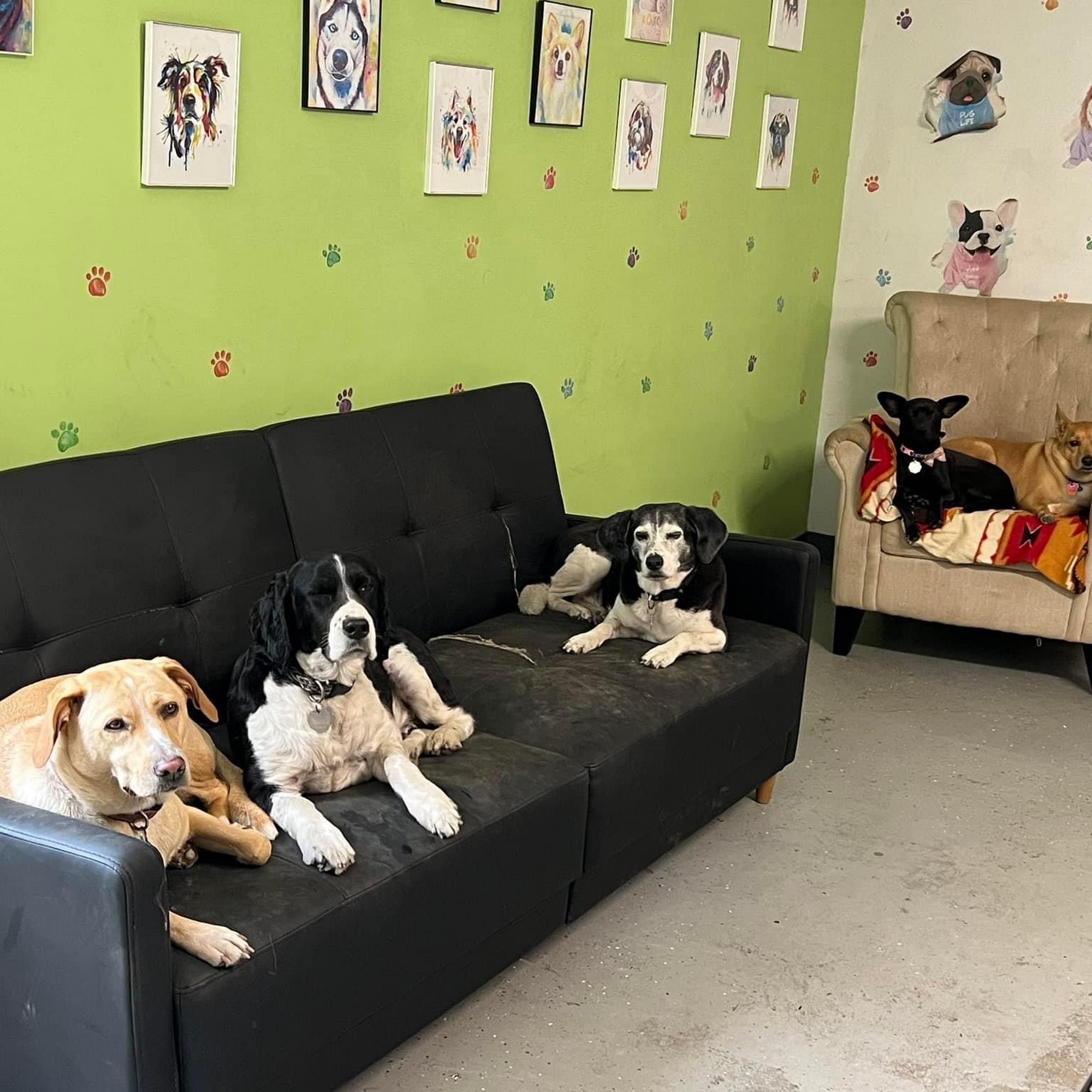 Hound Haven by the Bay Doggie Daycare & Boarding Beaufort