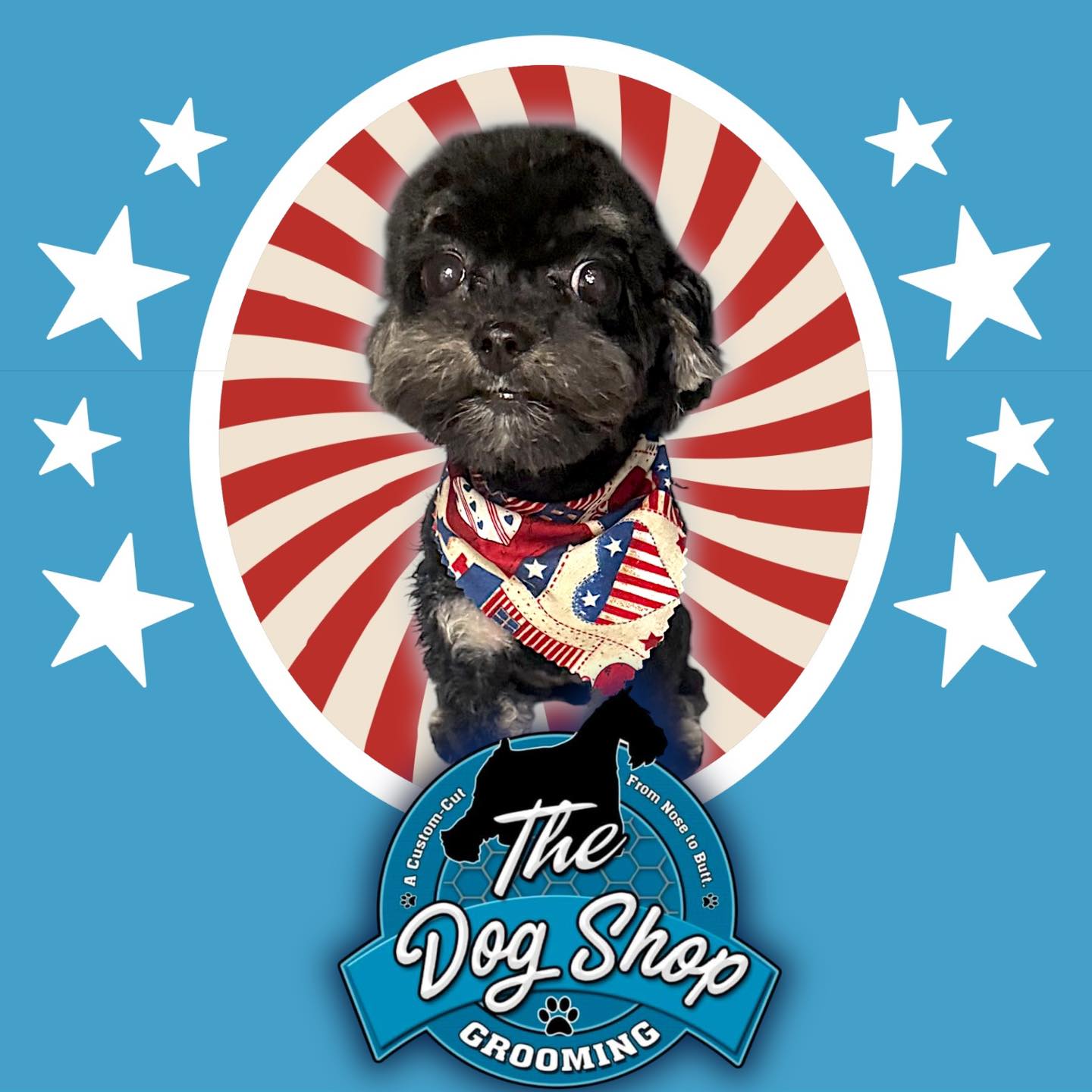 The Dog Shop Blacksburg