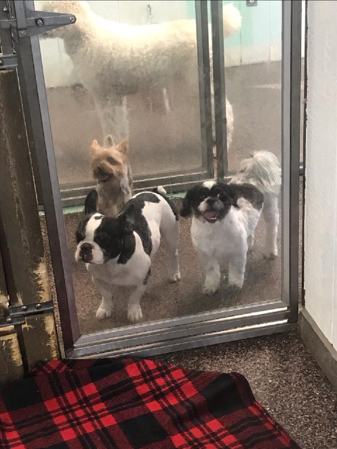 The Bark Shack Bluffton