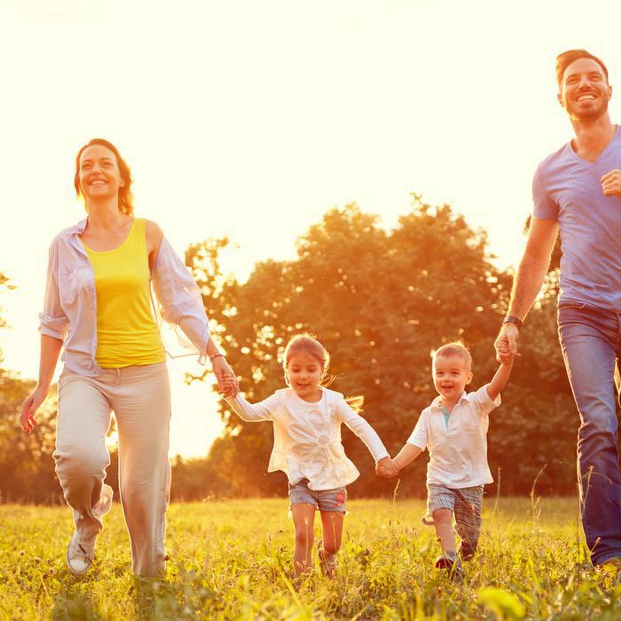 Bradley C Morris, DC