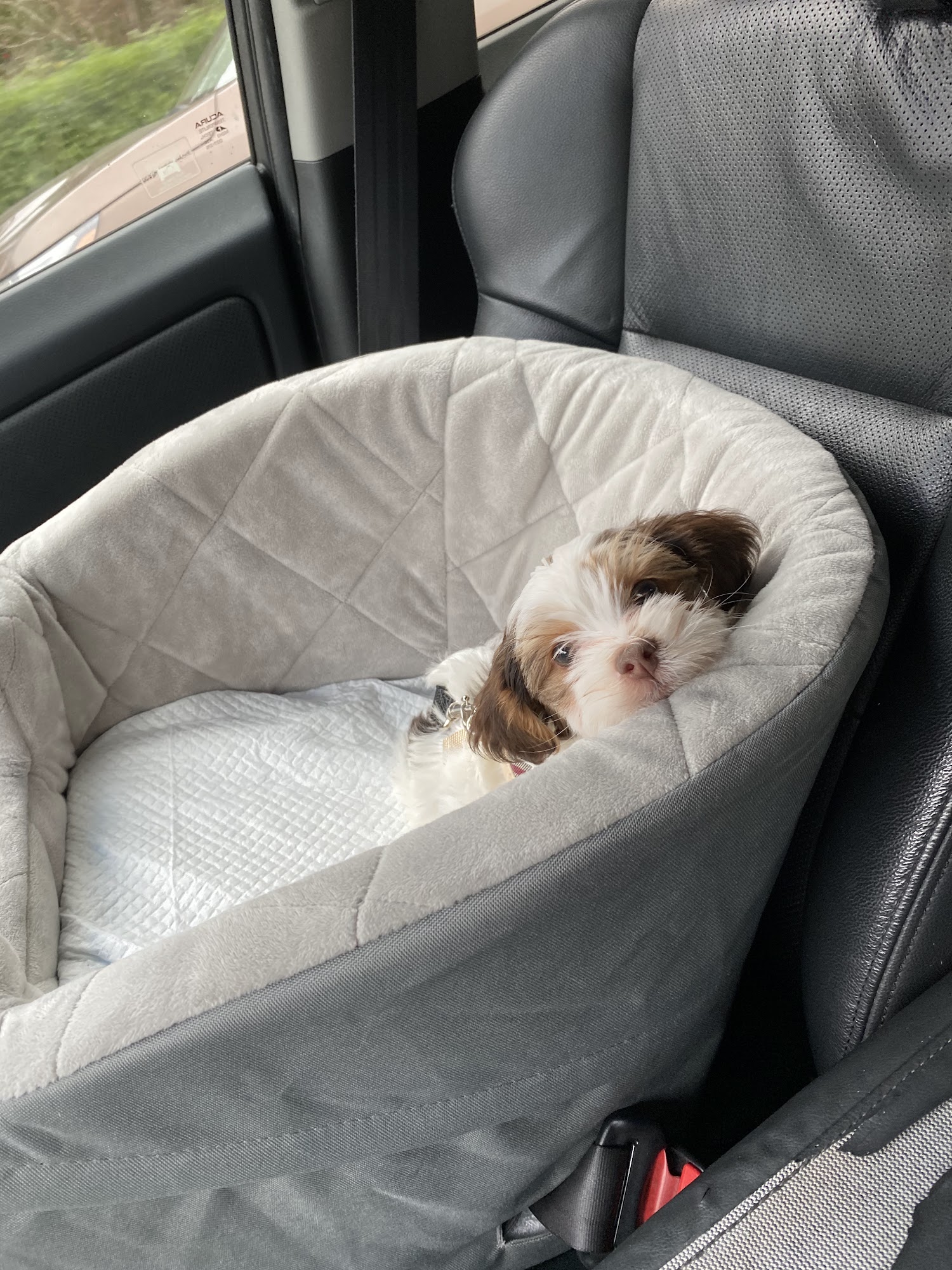 Wateree Animal Hospital Camden