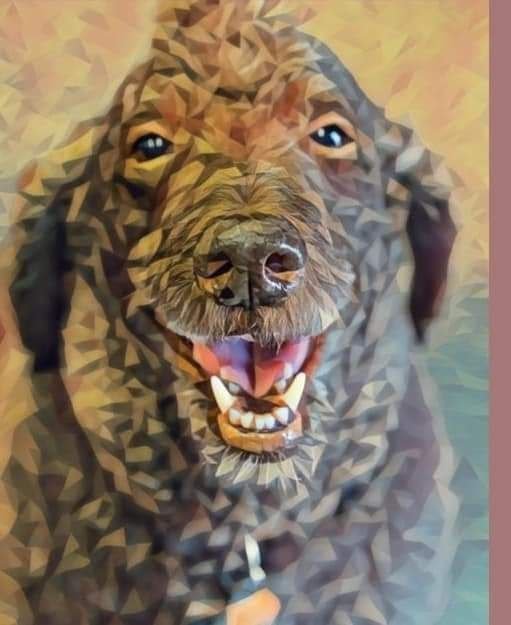 Photo credit: 