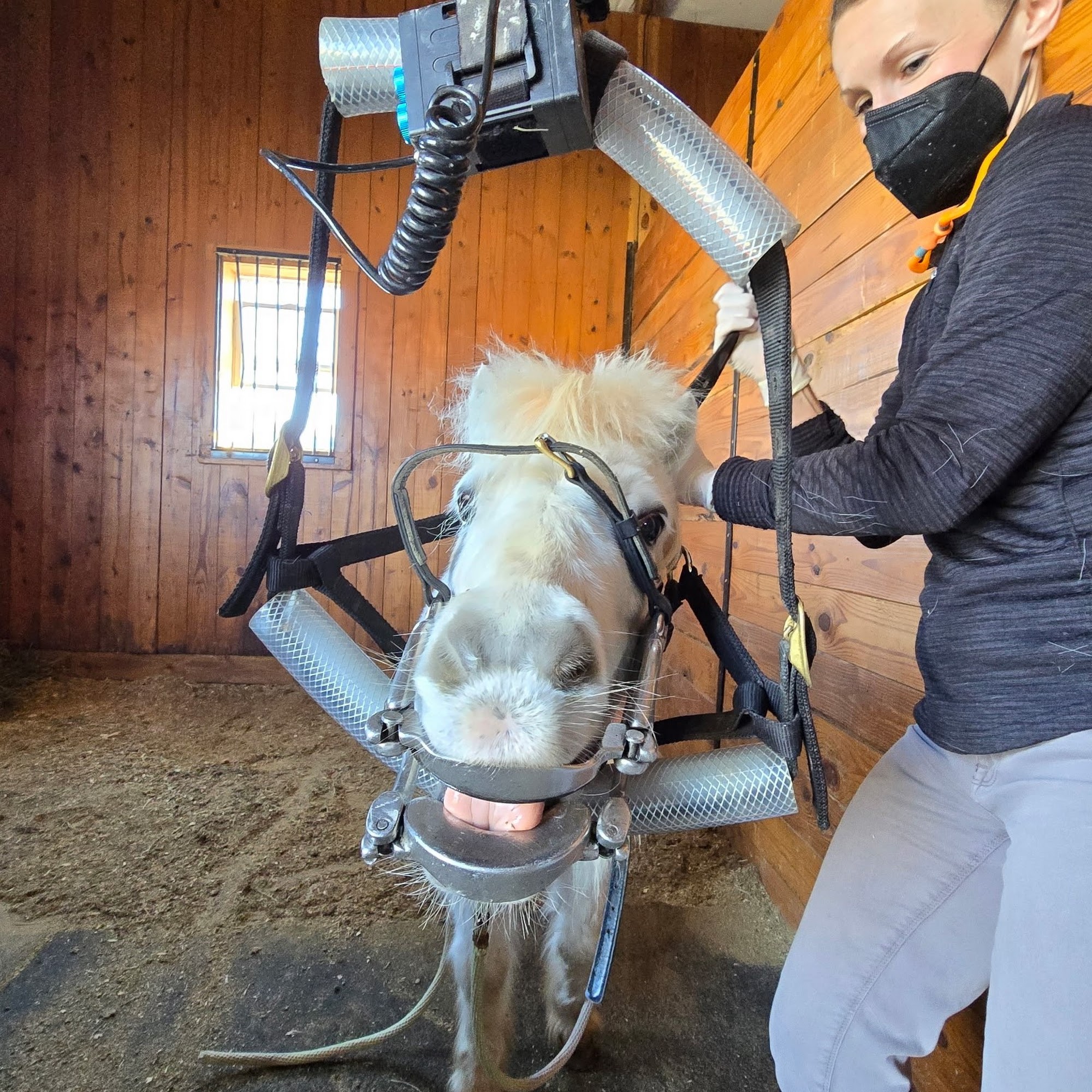 South Carolina Equine Associates Inc Camden