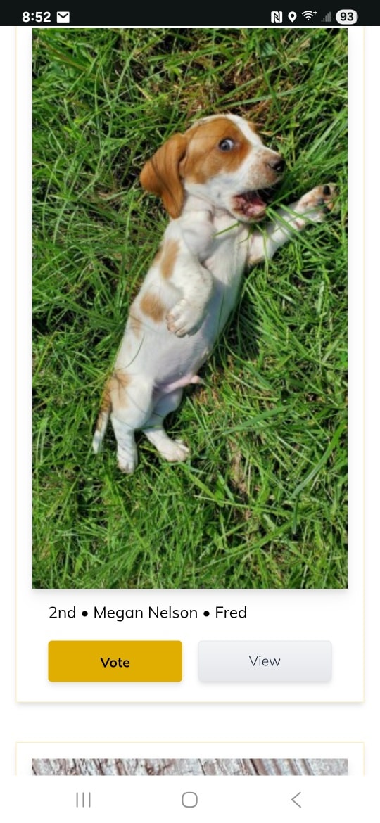 The Groom Room Camden