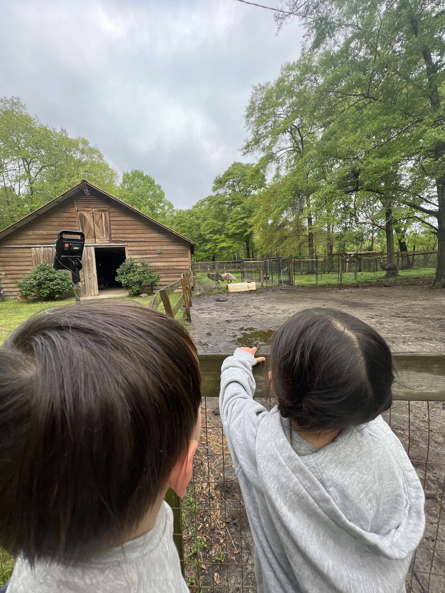 Happy Paws All Breed Grooming Camden