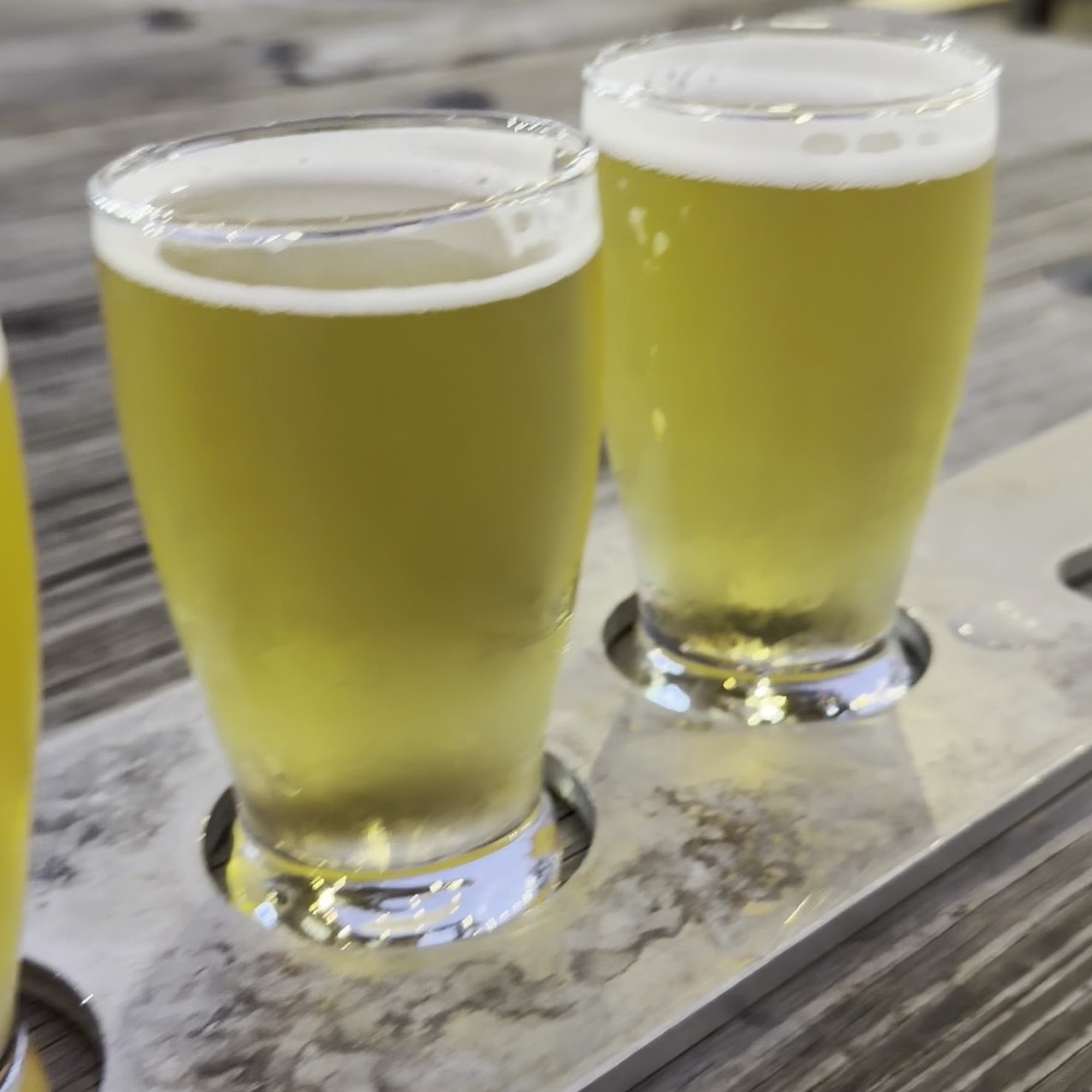 Steel Hands Brewing Cayce