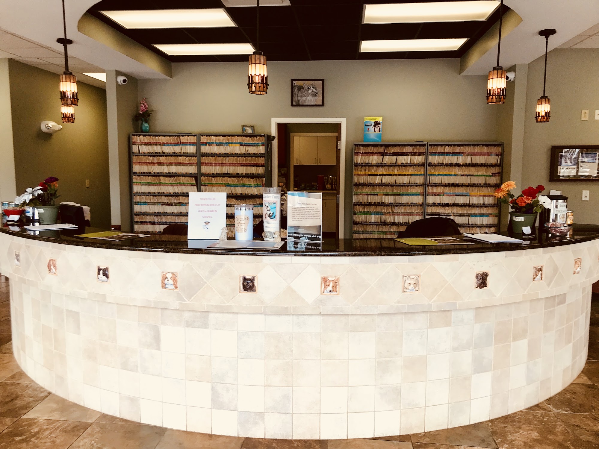 Chapin Veterinary Care Center Chapin