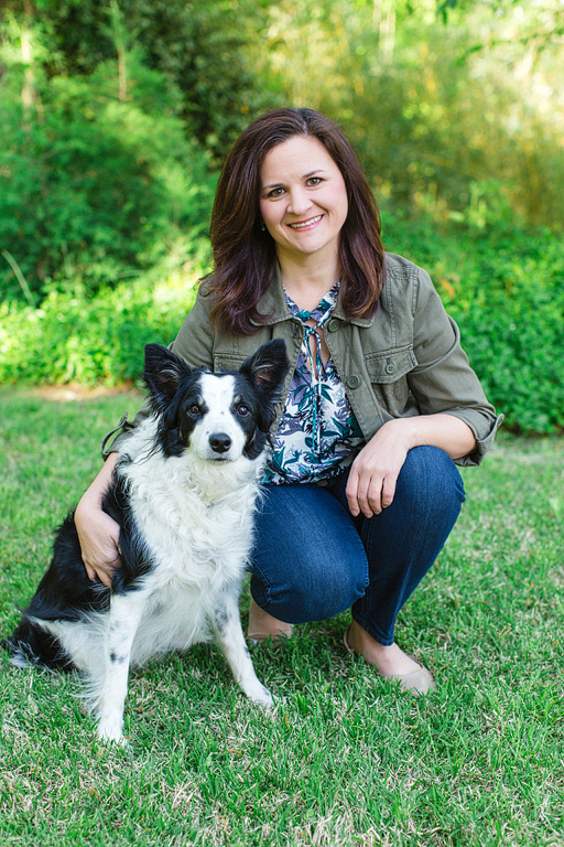 Lake Town Animal Hospital Chapin