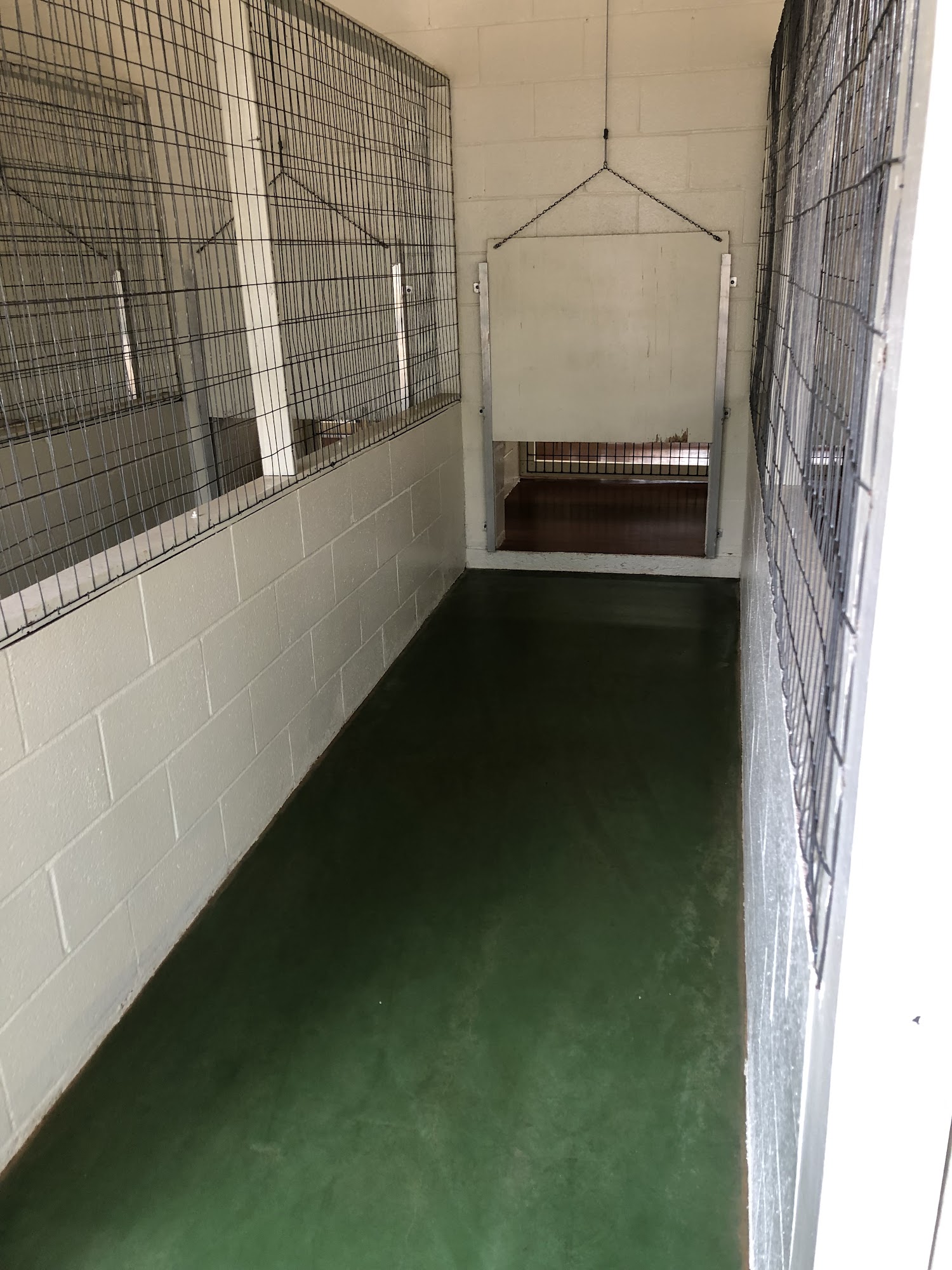 Chapin Pet Lodge Inc. Chapin