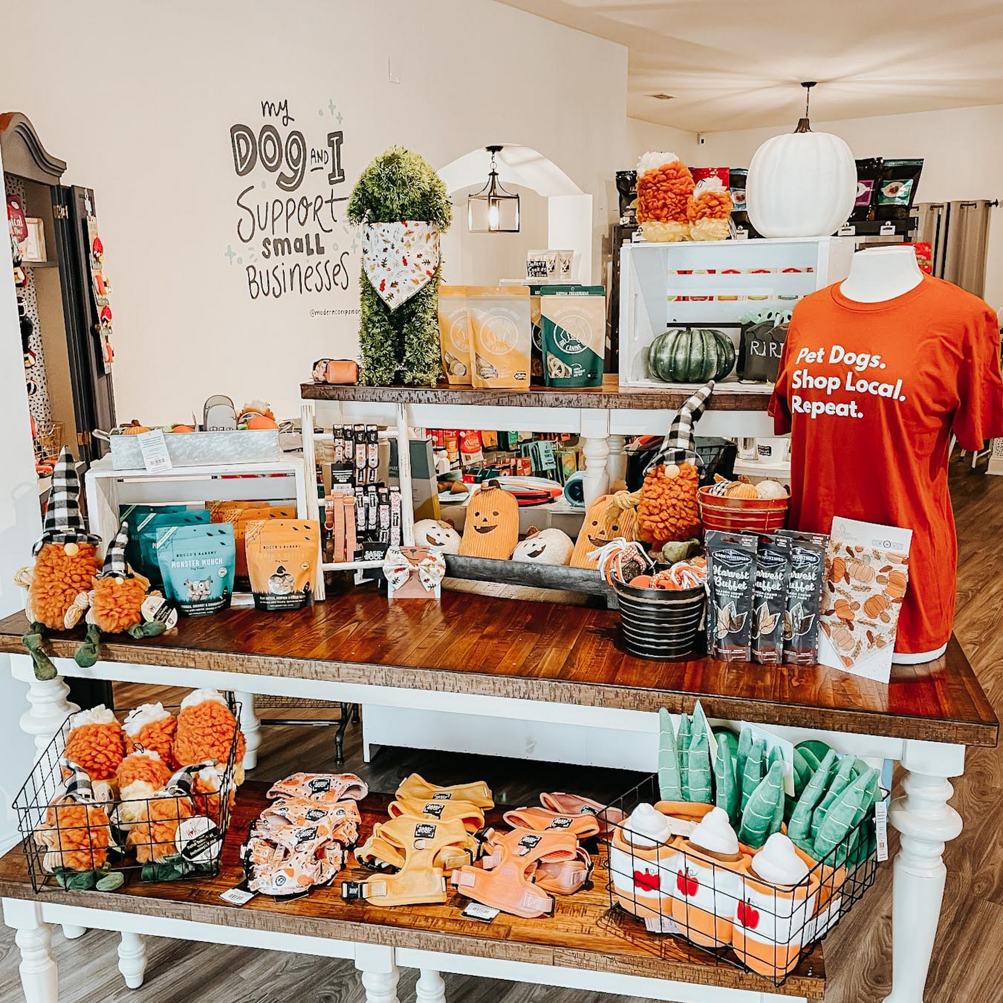 Modern Companion Pet Boutique Chapin