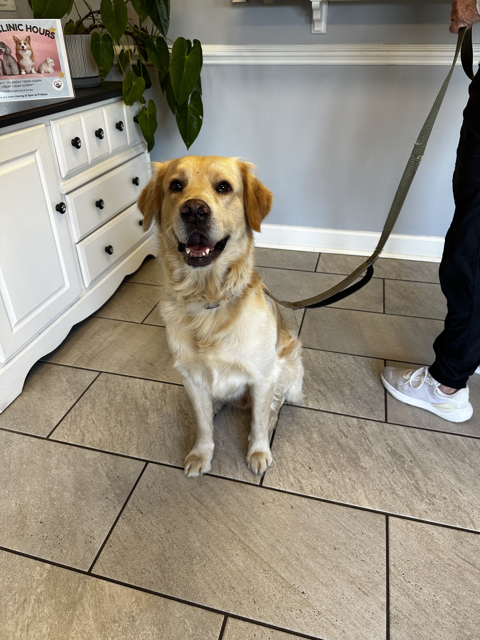 Lisha Whitaker, DVM, MS Chapin