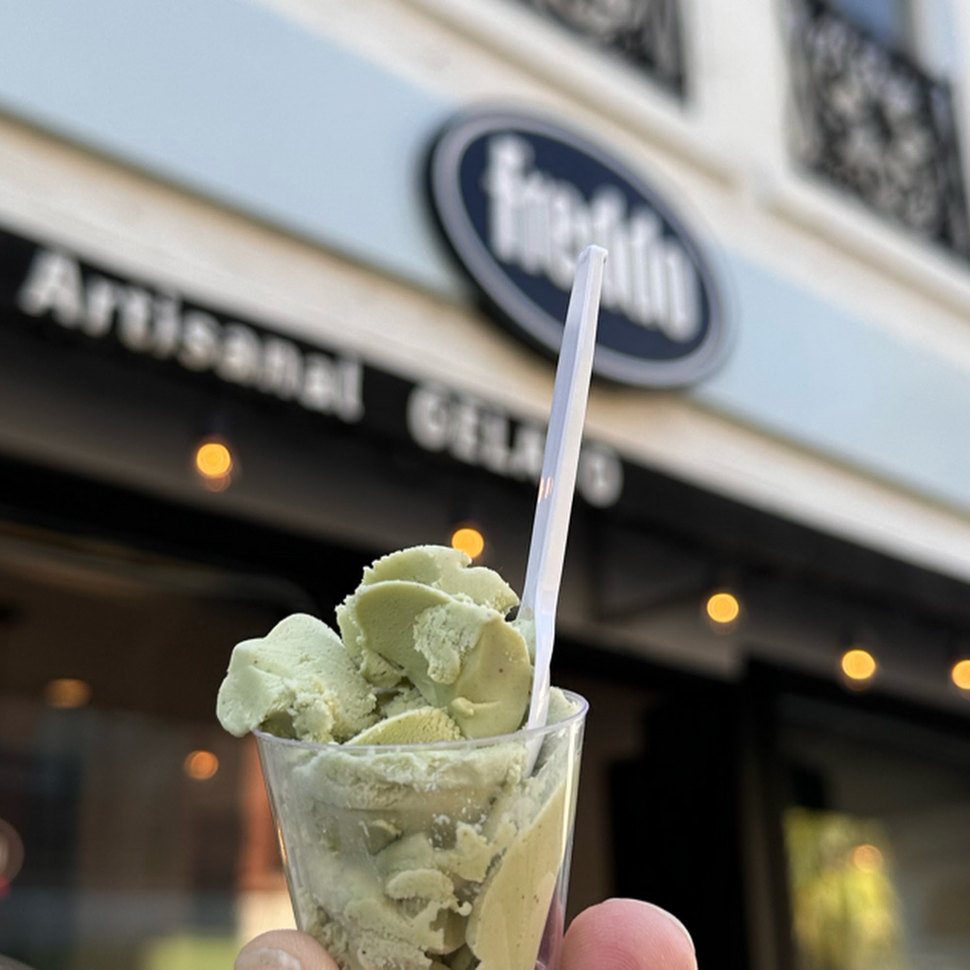 Freddo Charleston Charleston