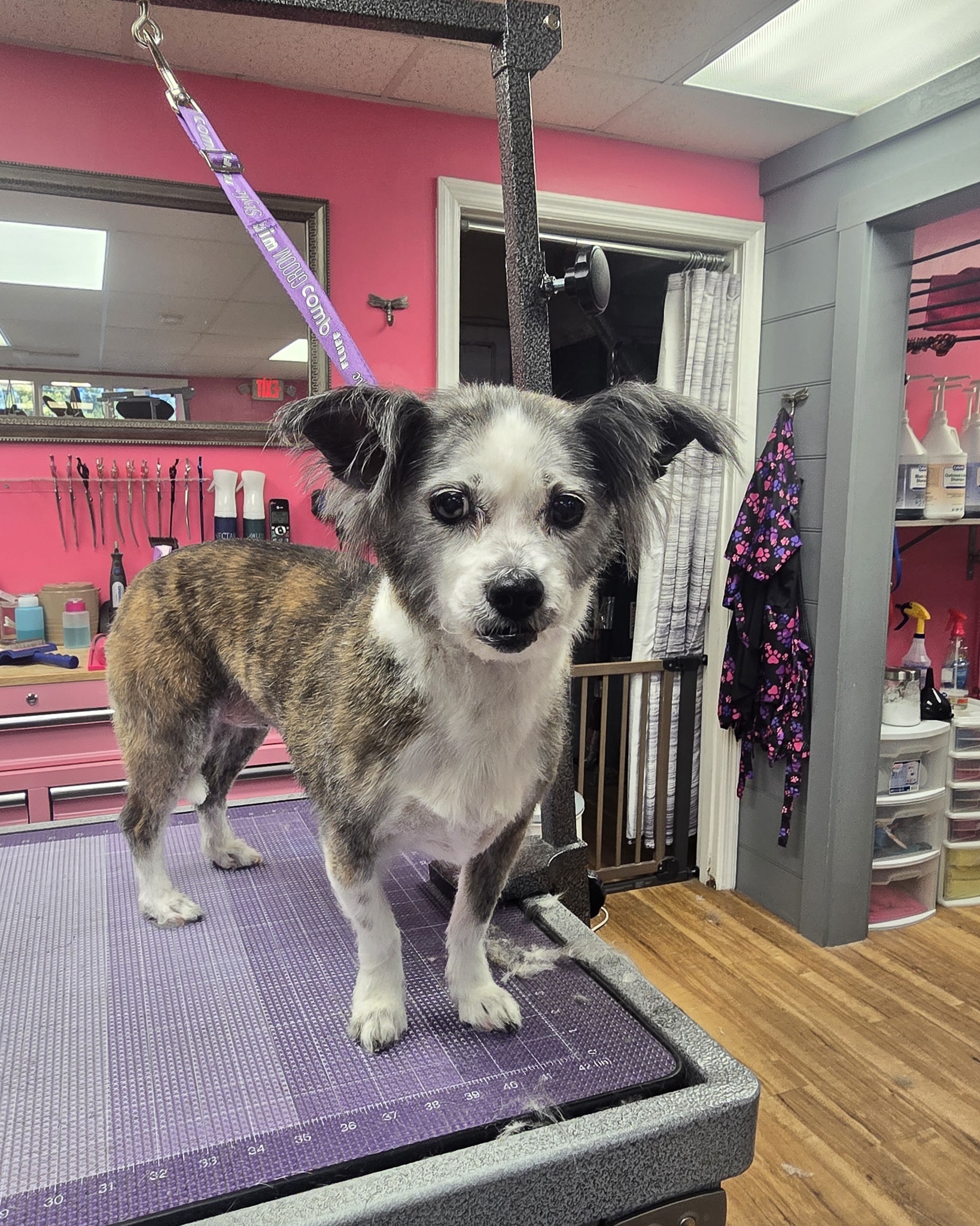 Adrienne's Grooms LLC Charleston