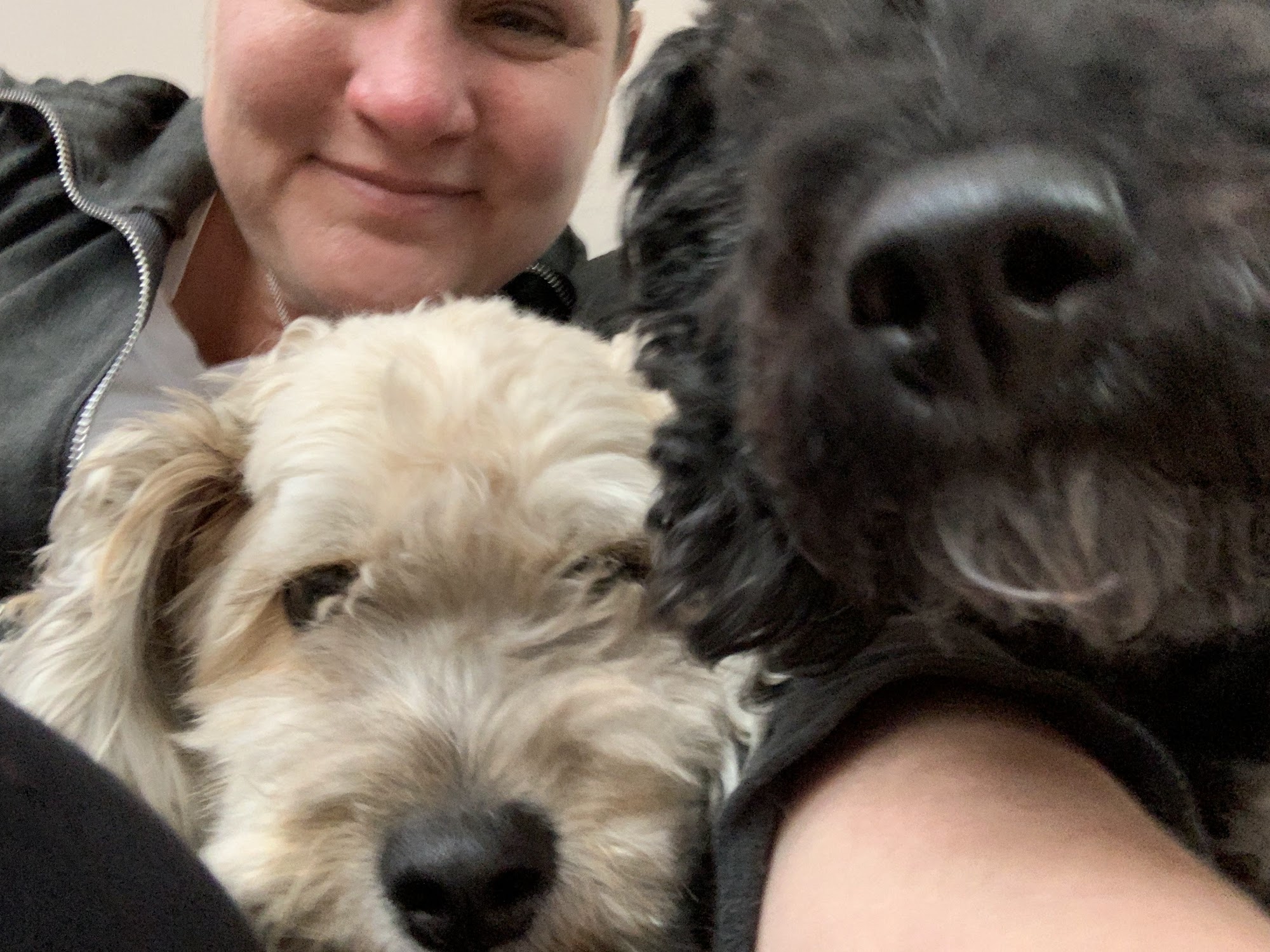 Wet Nose Warm Heart Pet Sitting, LLC Charleston