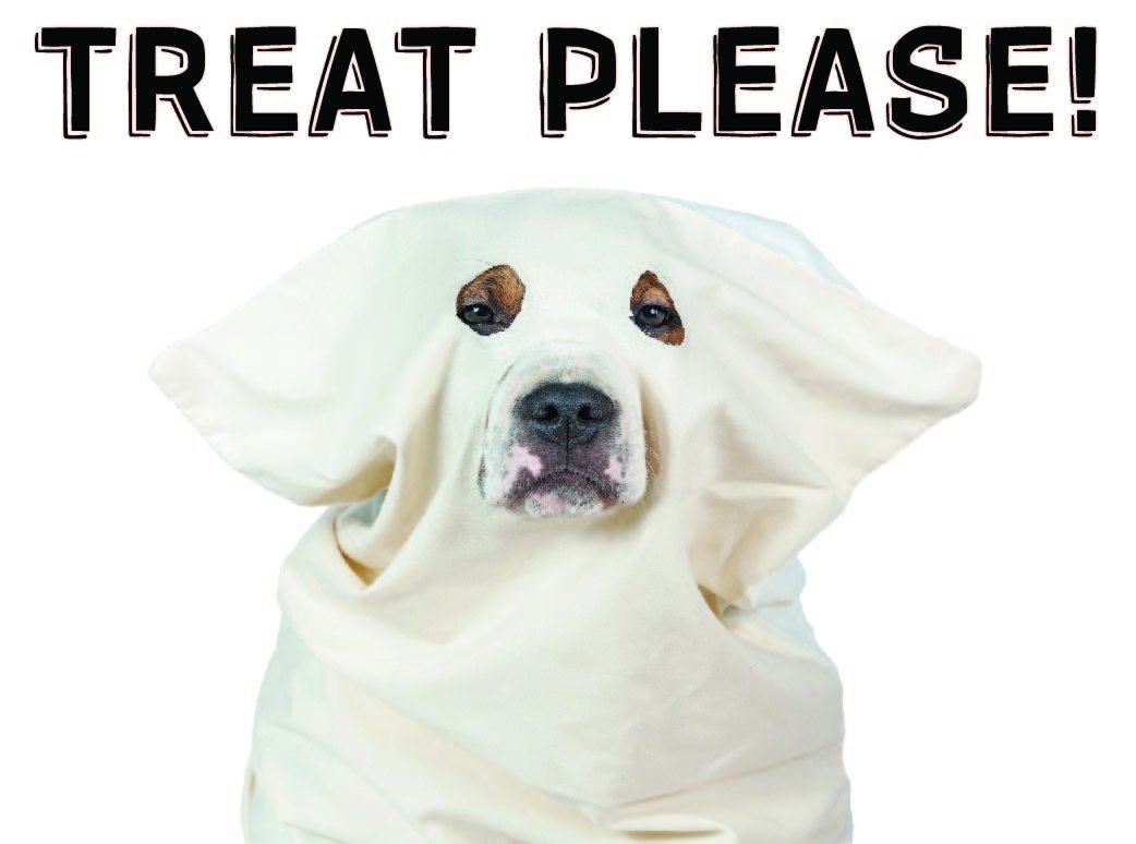 Charleston Carpet's And Cleaning 139 Broad St, Charleston South Carolina 29401