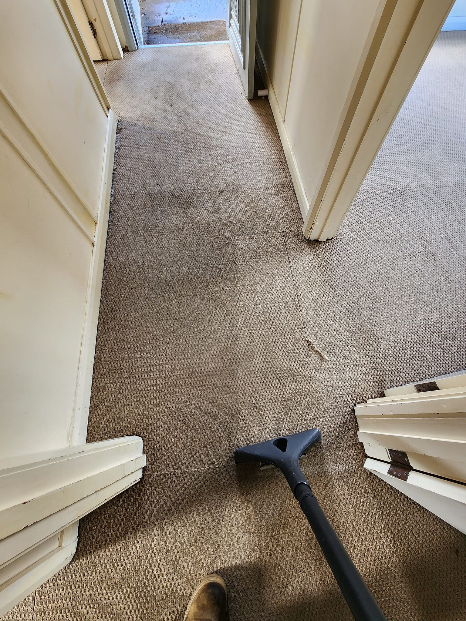 Danial Carpet's Cleaning