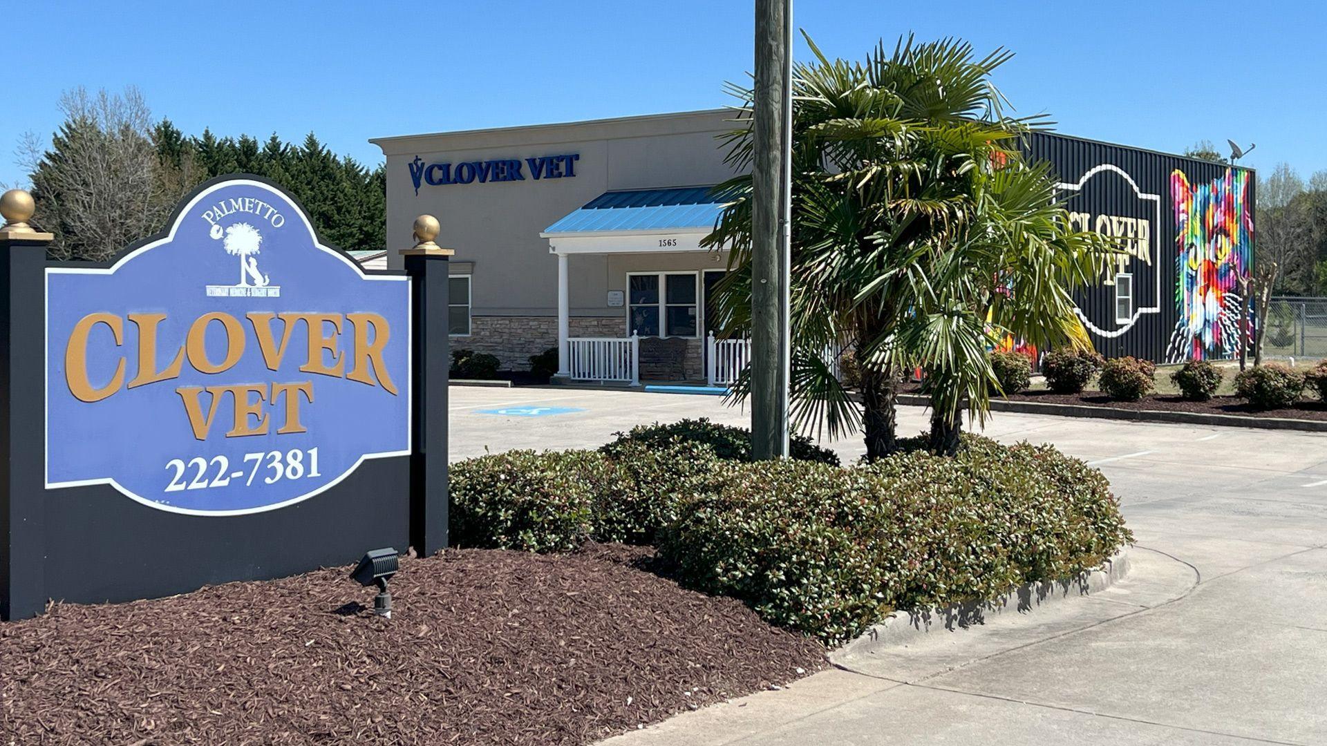 Clover Vet Clover