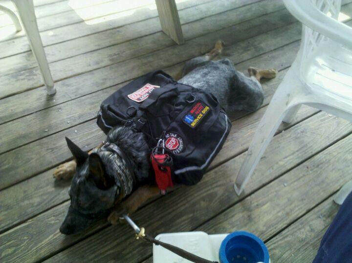 Photo credit: nextdoor