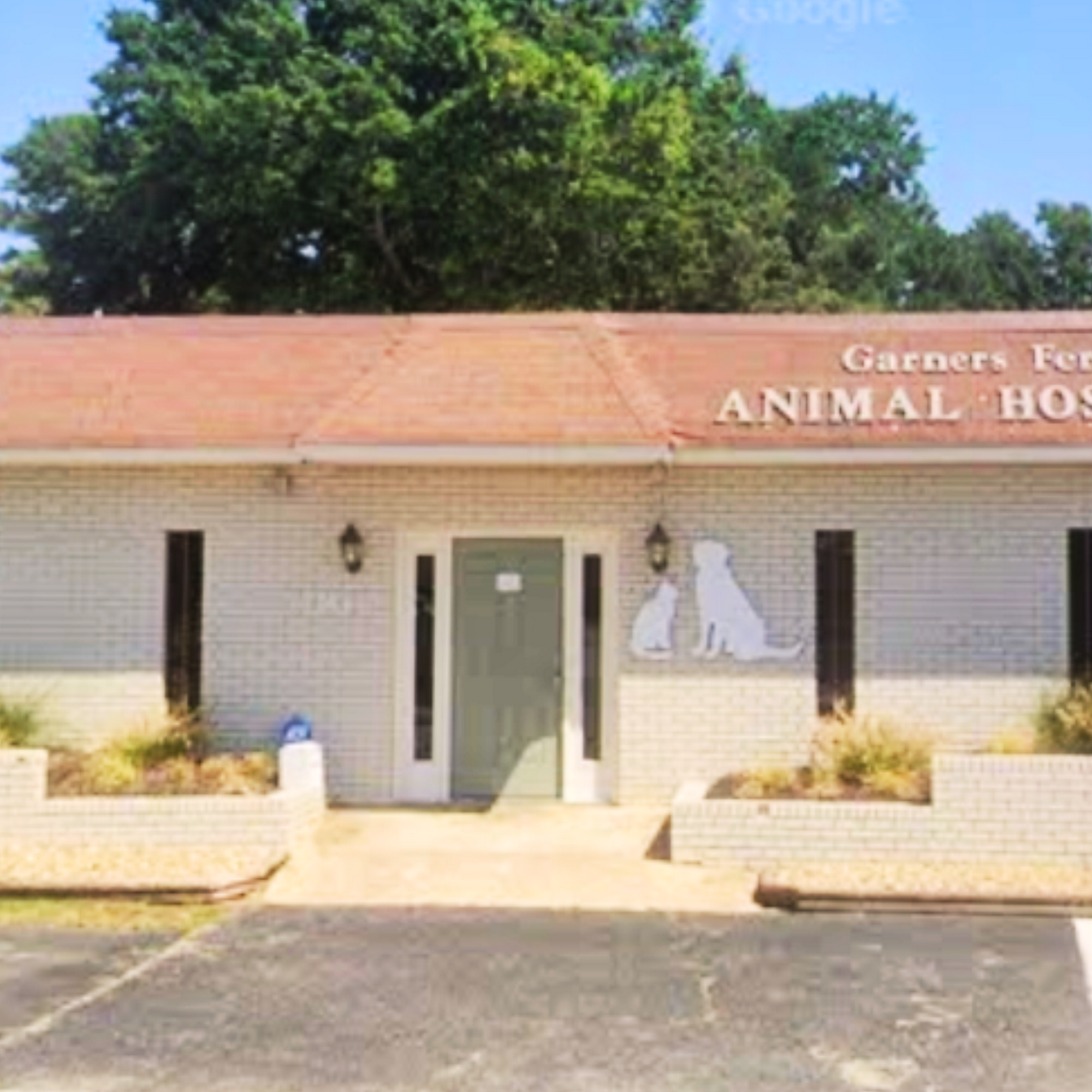 Garners Ferry Animal Hospital Columbia