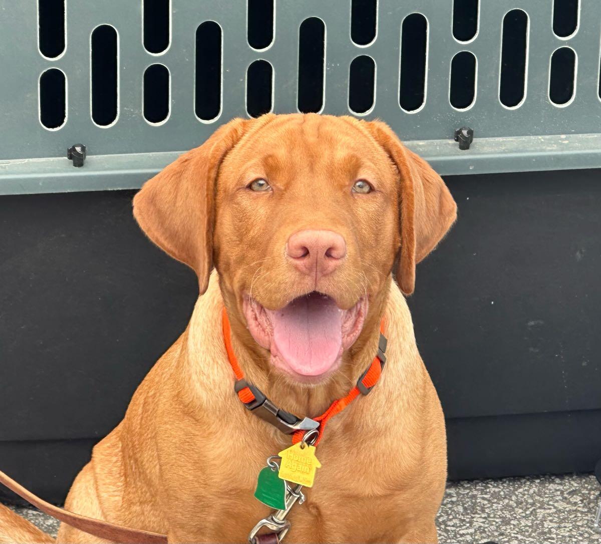 Photo credit: nextdoor