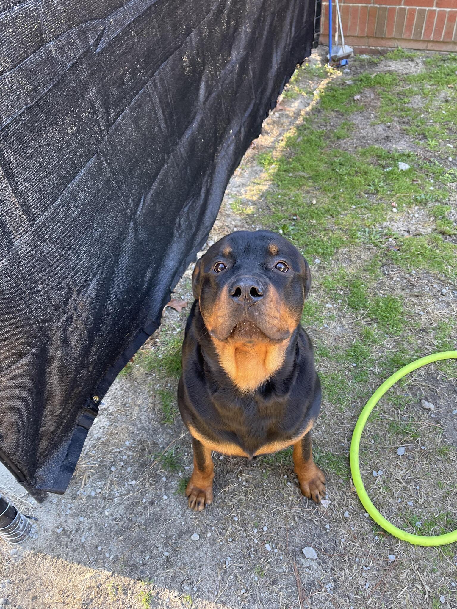 Northeast Animal Clinic Columbia