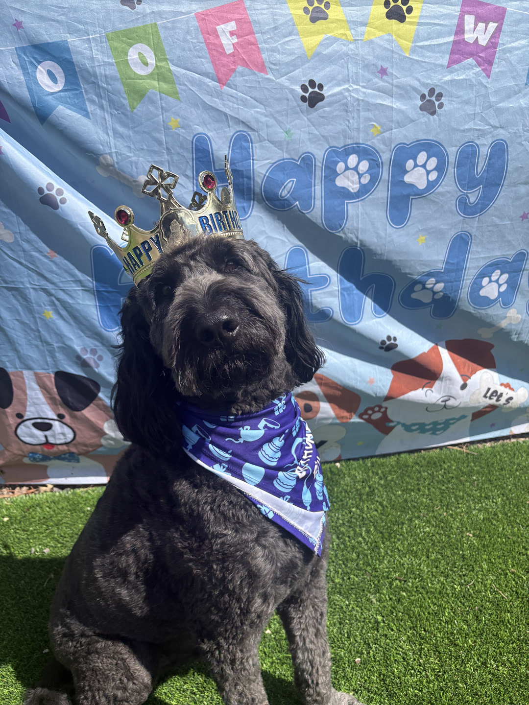 Wescott Acres Pet Resort Columbia