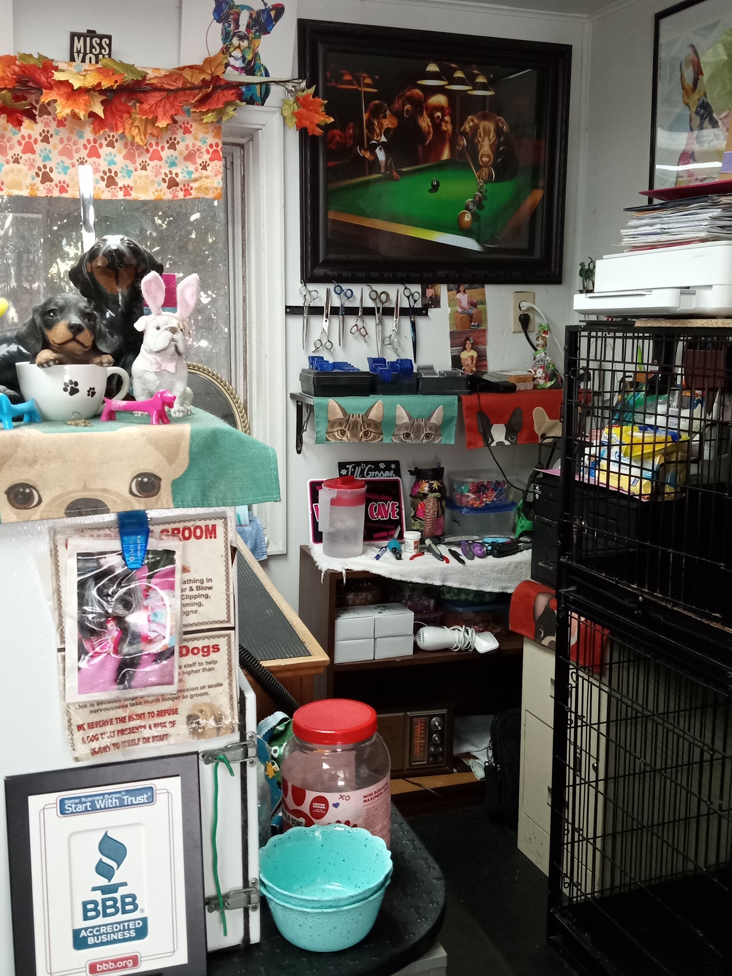 Puppy Cuts Pet Grooming Columbia