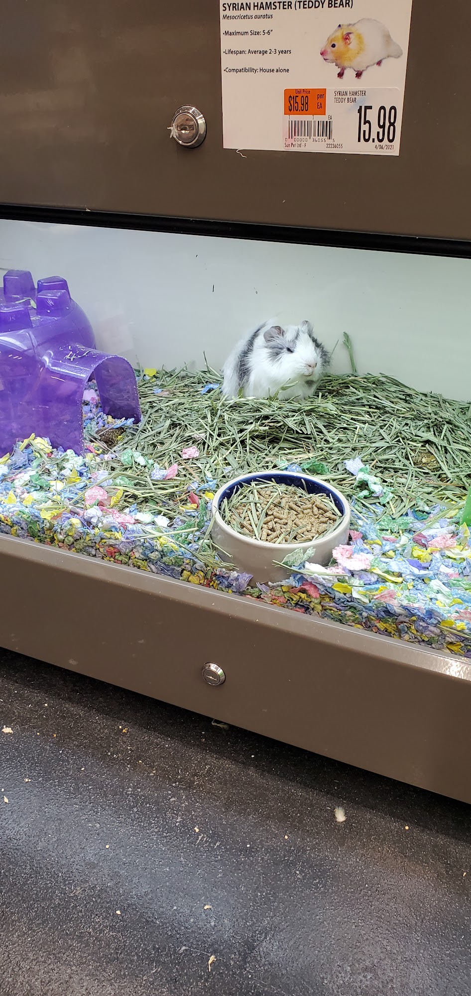 Pet Supplies Plus Columbia - Clemson Rd. Columbia