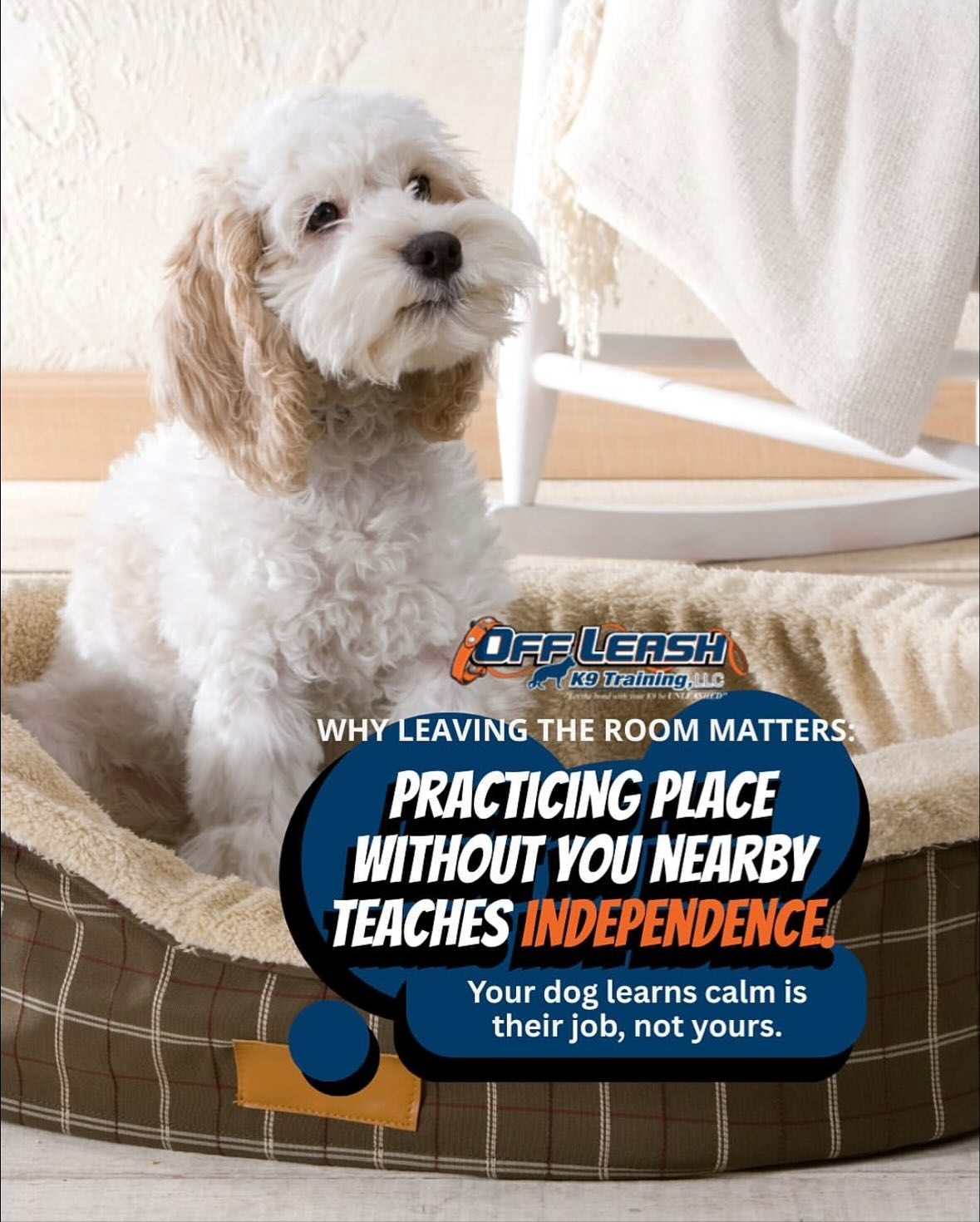 Off Leash K9 Training Columbia Columbia