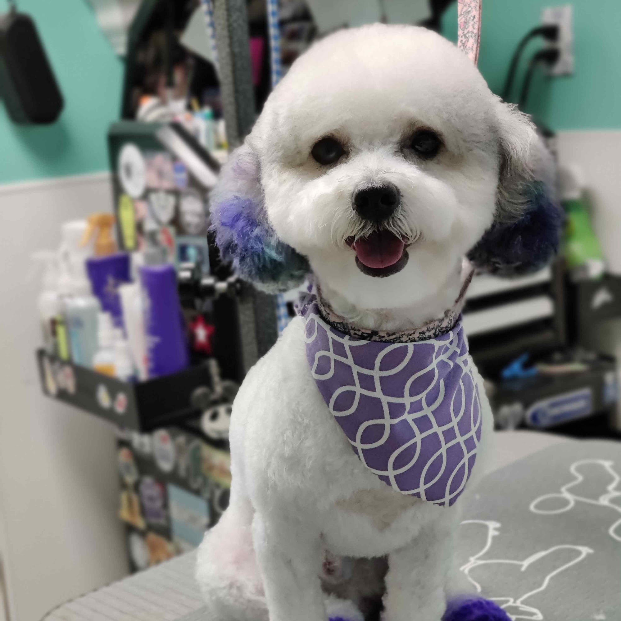 K-9 Salon & Spa Columbia