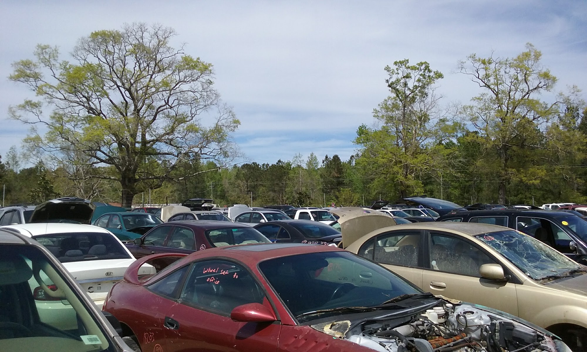 GRAND STRAND PICK N PULL - Conway SC - Hours, Directions, Reviews