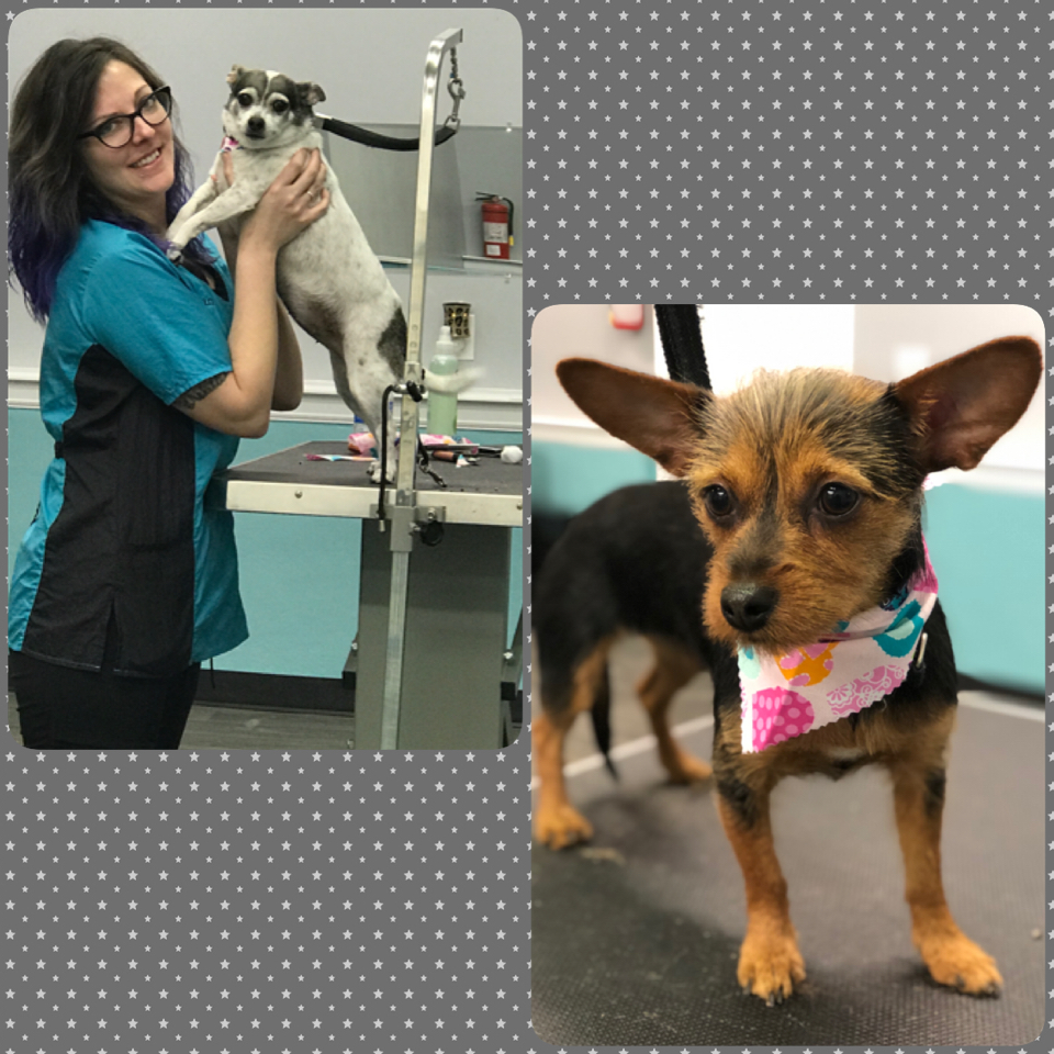 Salty Dog Salon & Spa Conway