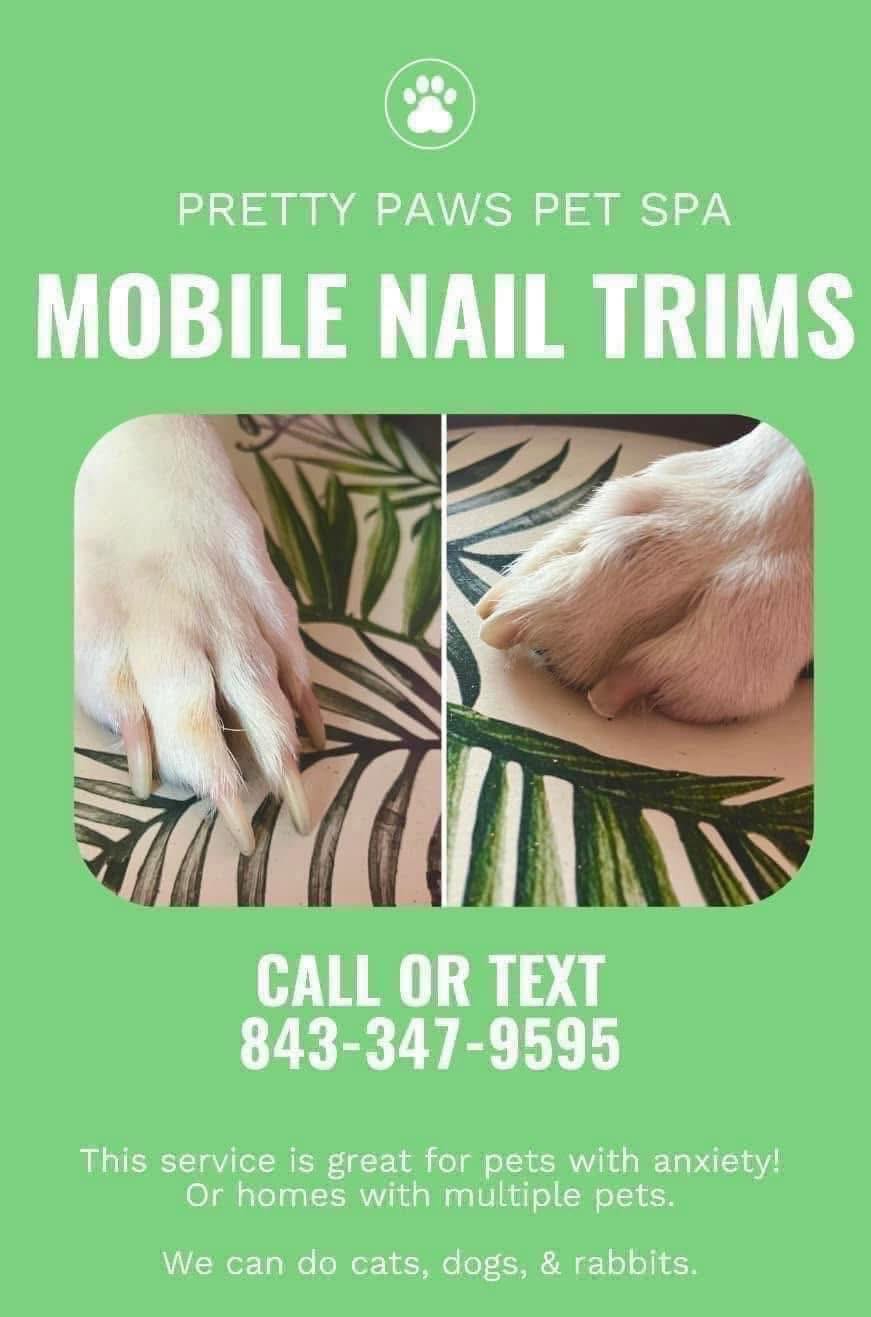 Pretty Paws Pet Spa Conway