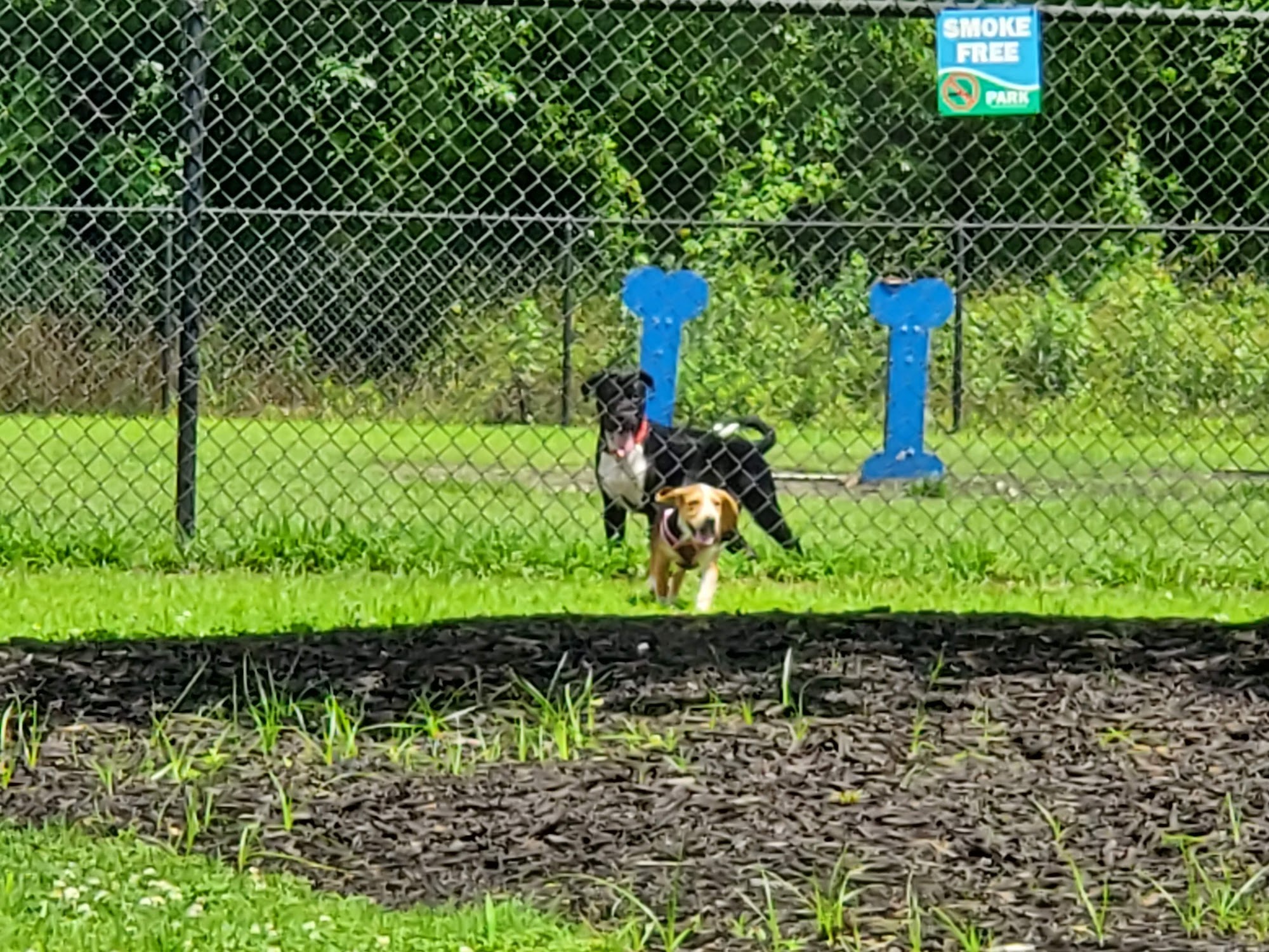 Conway Dog Park Conway